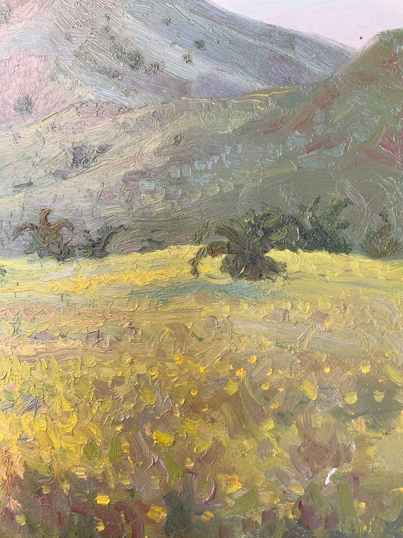 Oil painting Mountain meadow Onyshchenko - 10