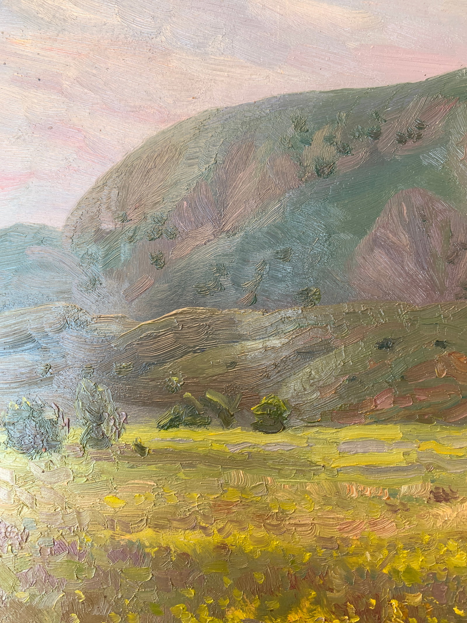 Oil painting Mountain meadow Onyshchenko - 3