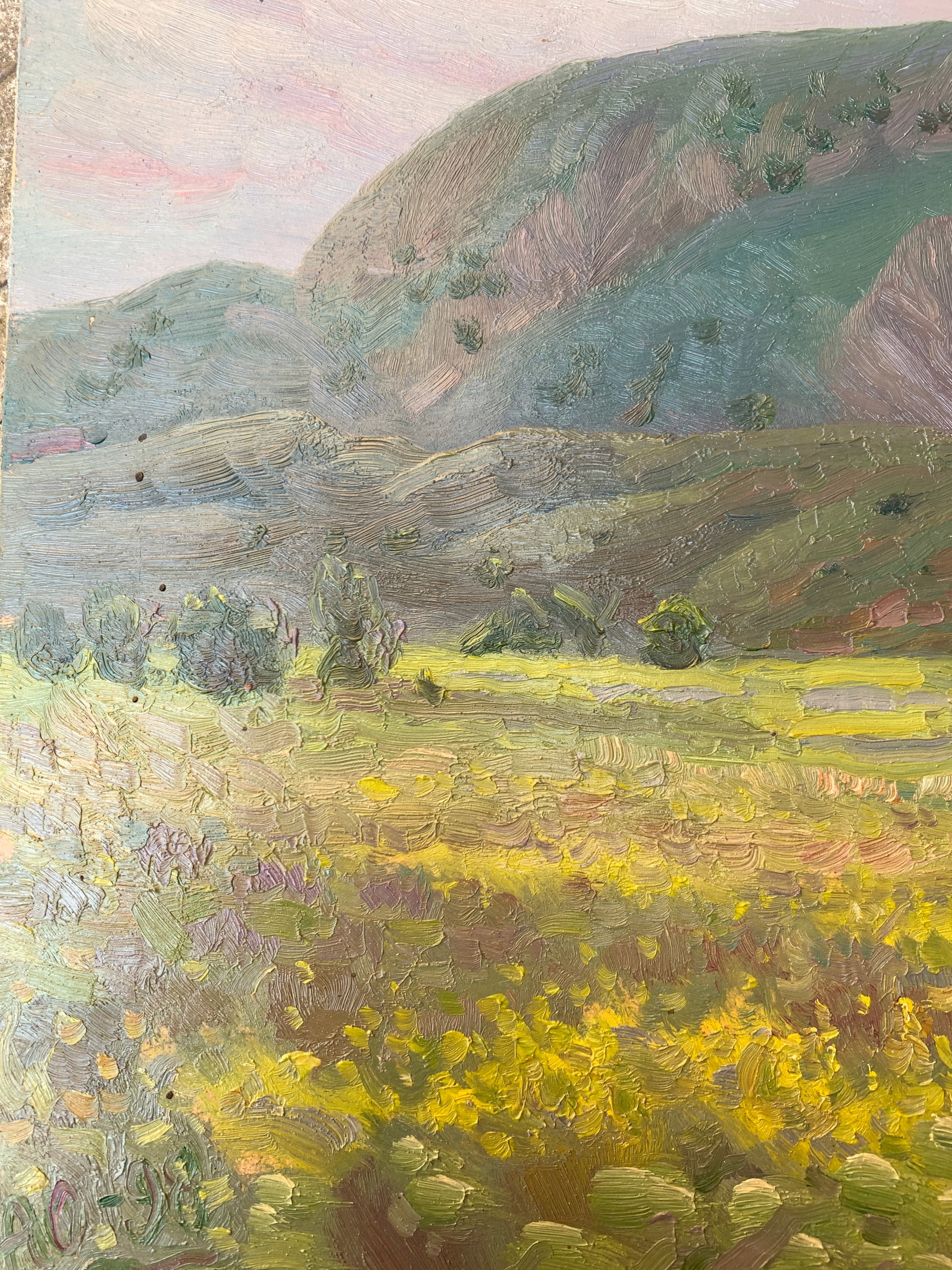 Oil painting Mountain meadow Onyshchenko - 4