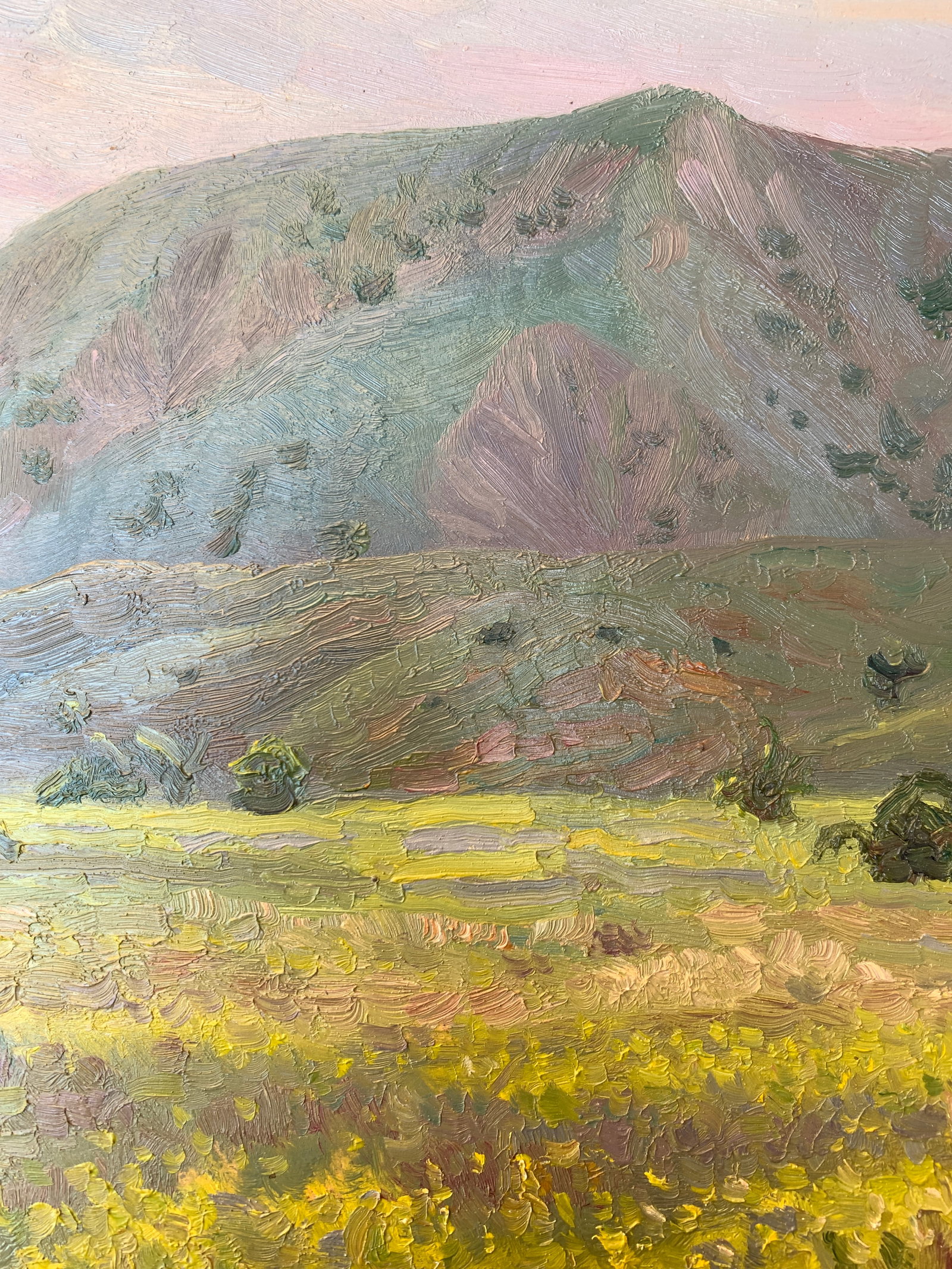 Oil painting Mountain meadow Onyshchenko - 5
