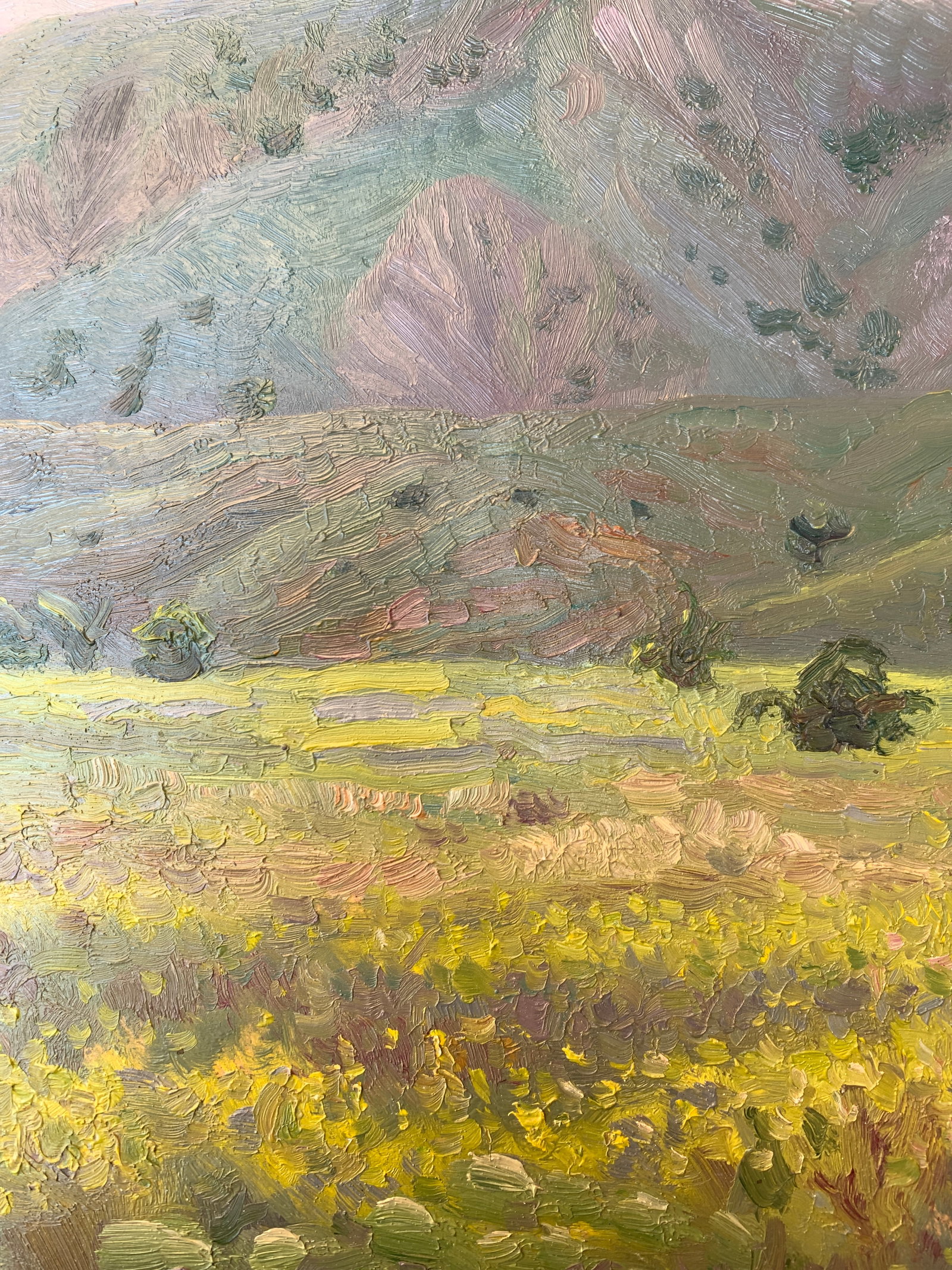 Oil painting Mountain meadow Onyshchenko - 6