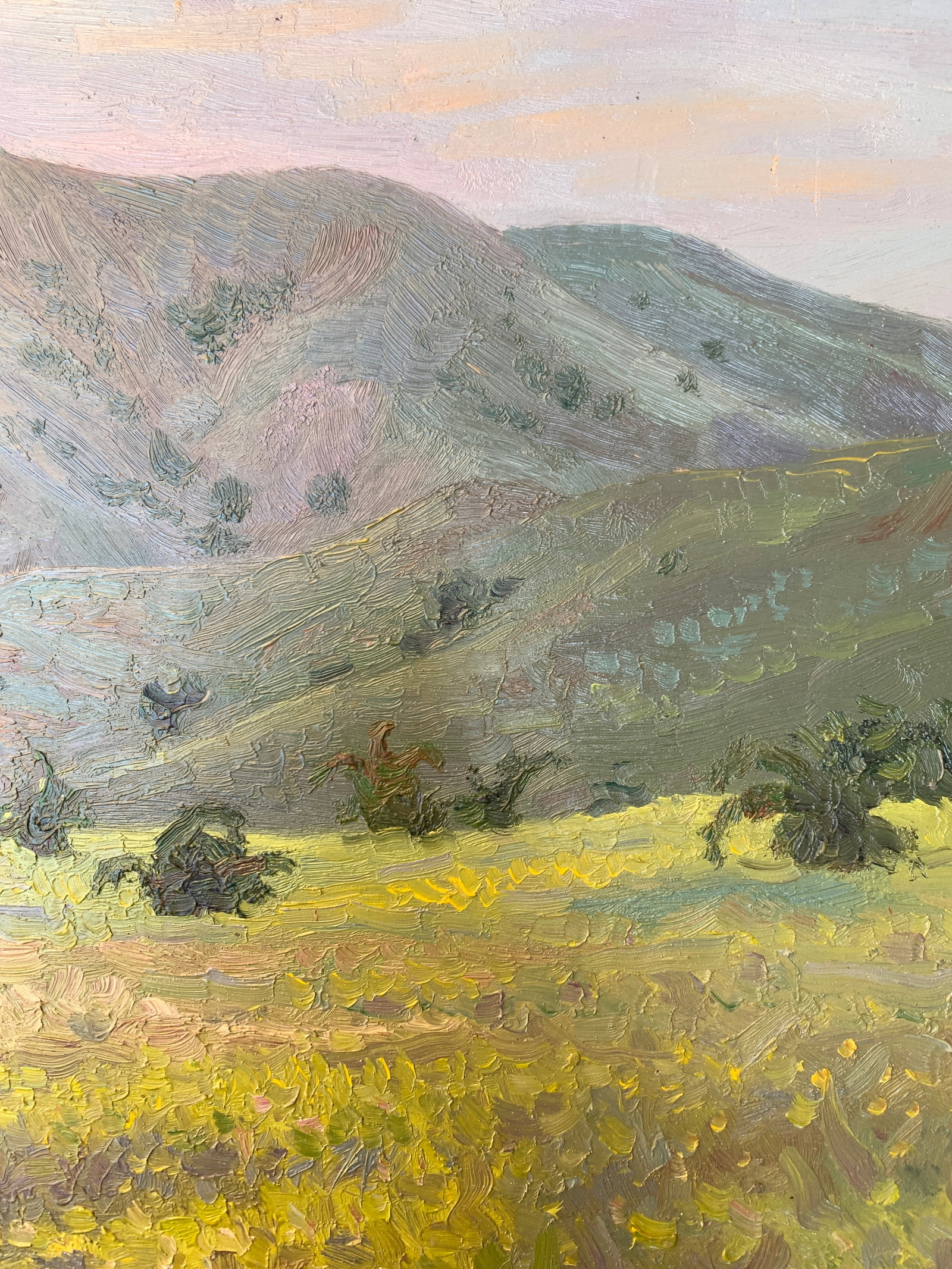 Oil painting Mountain meadow Onyshchenko - 8