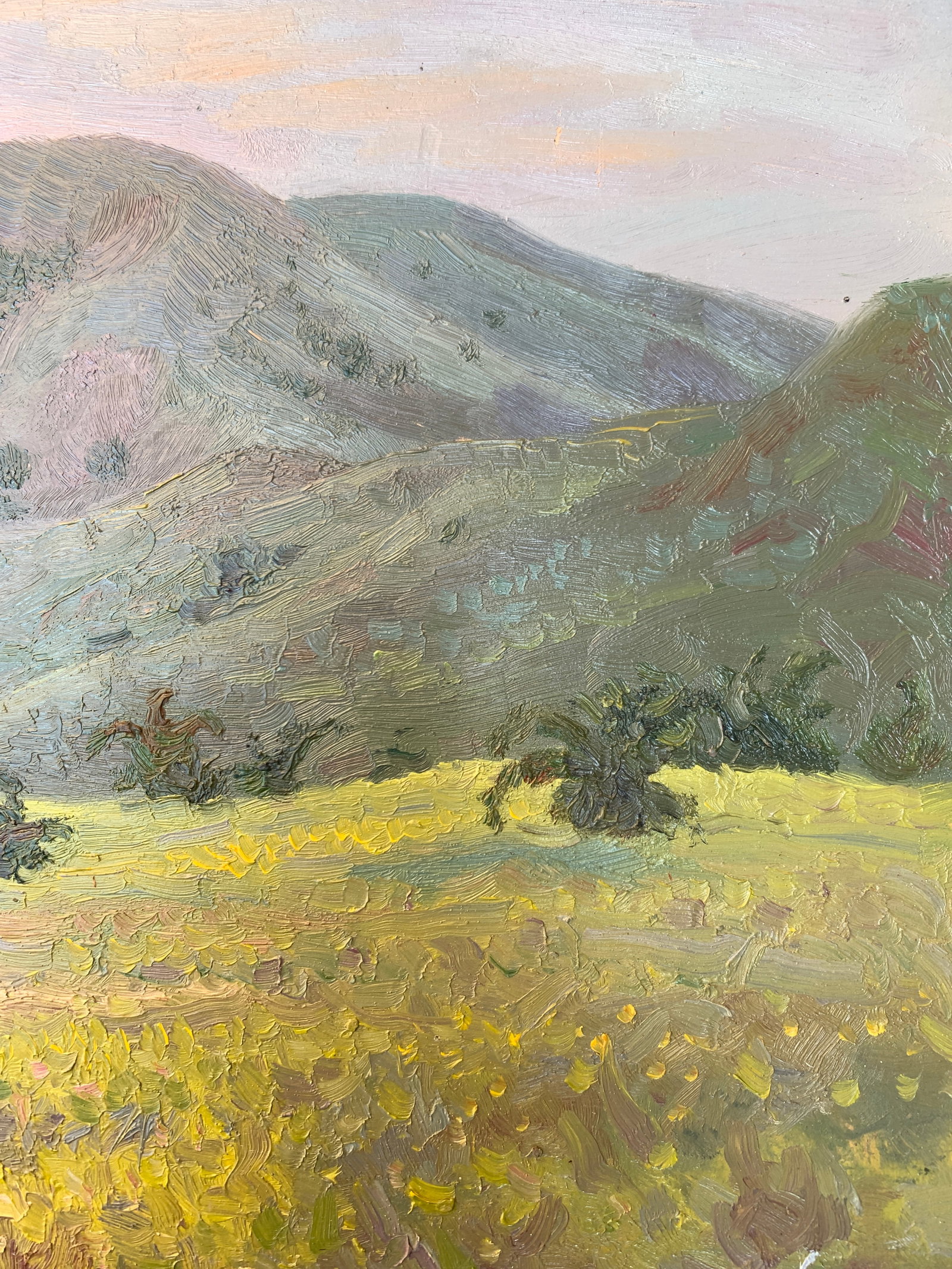Oil painting Mountain meadow Onyshchenko - 9