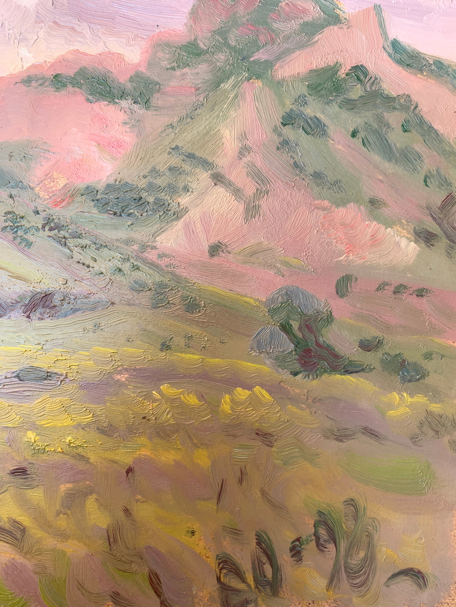 Oil painting Mountain landscape Onyshchenko - 10