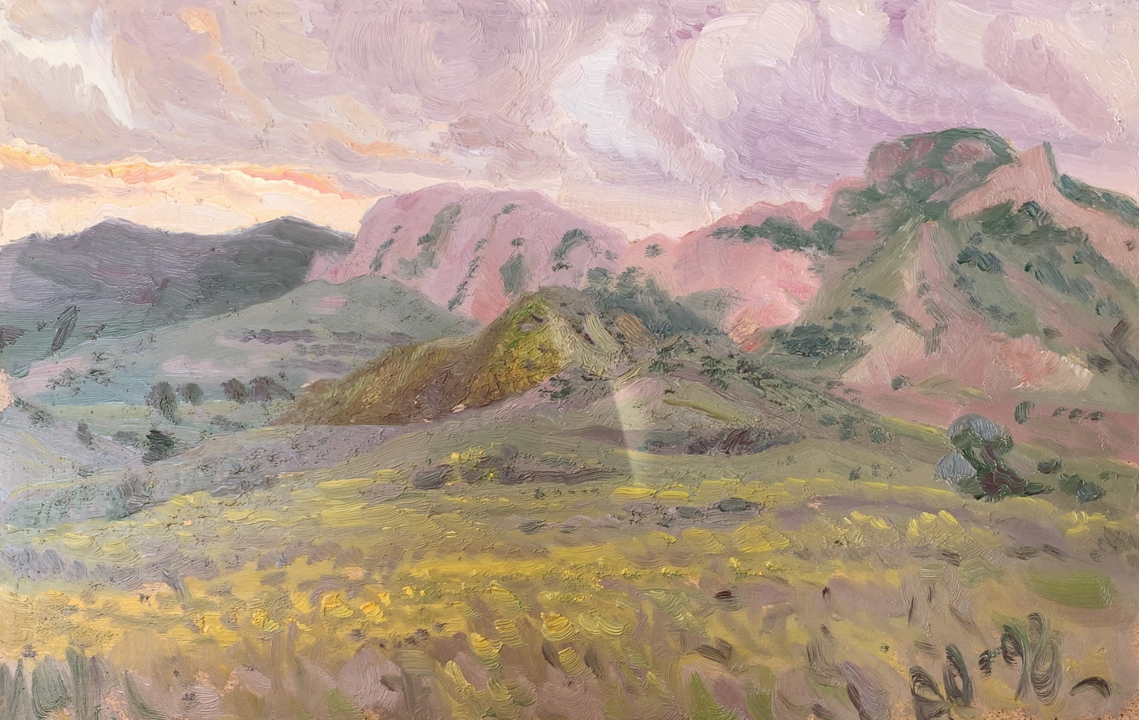 Oil painting Mountain landscape Onyshchenko: Title: Oil painting Mountain landscape Onyshchenko Description: 26ON Painter: Onyshchenko Anatoly Ivanovich S?ze: 27x42 cm/ 10,63x16,53 inches Components: oil, fiberboard Original painting CONDITION: 