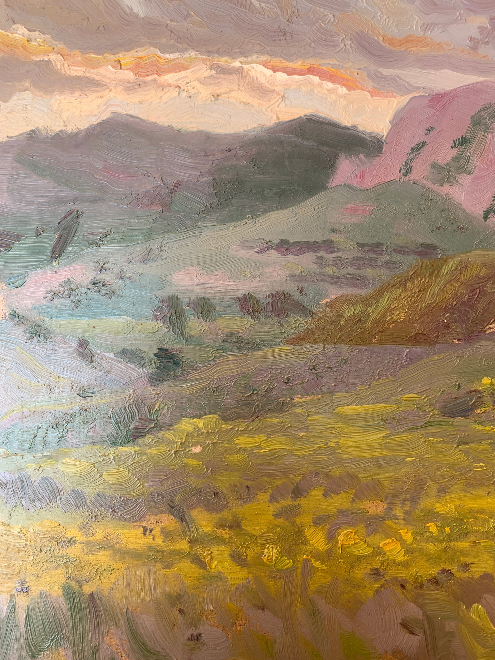 Oil painting Mountain landscape Onyshchenko - 4