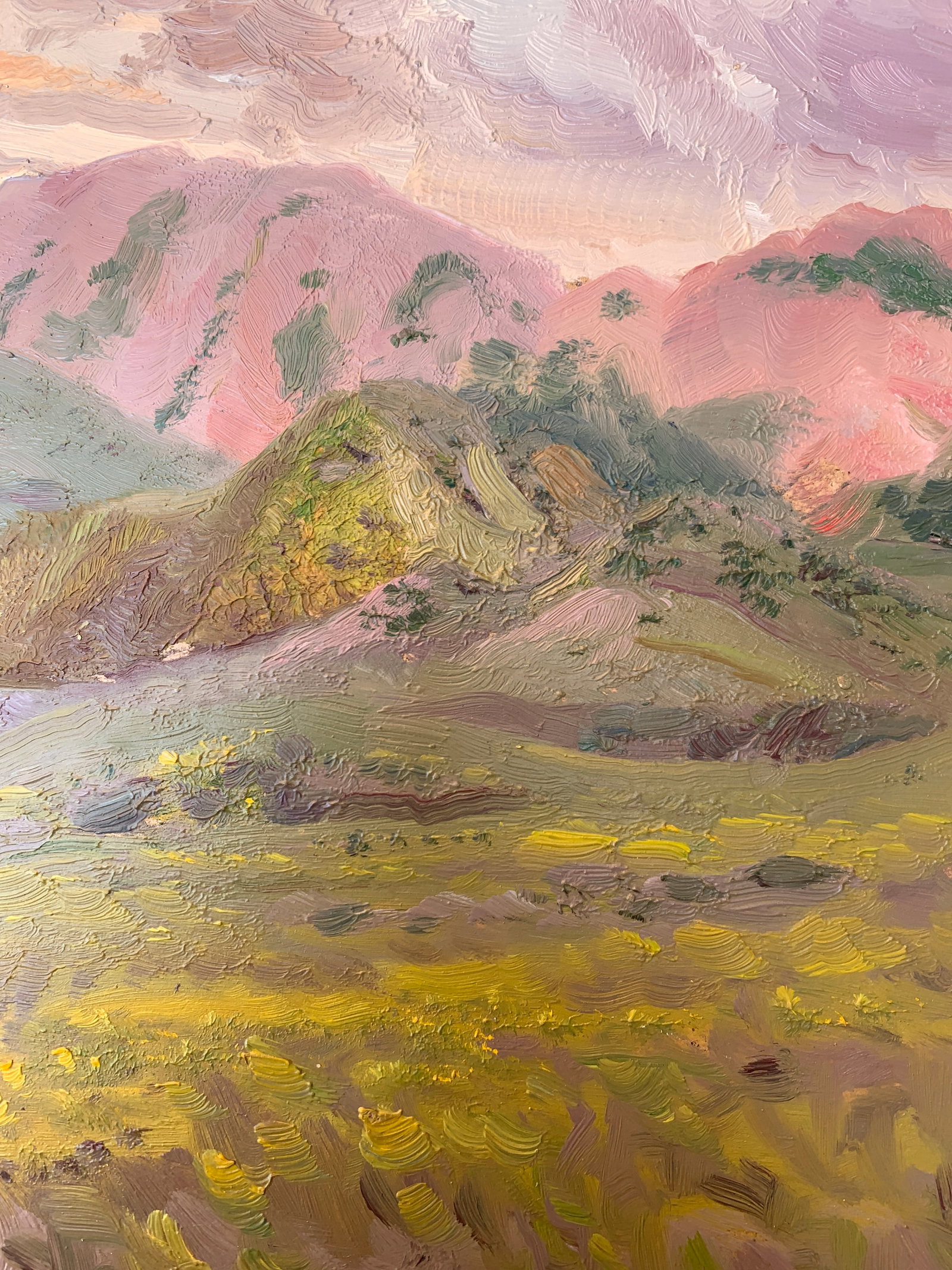 Oil painting Mountain landscape Onyshchenko - 6