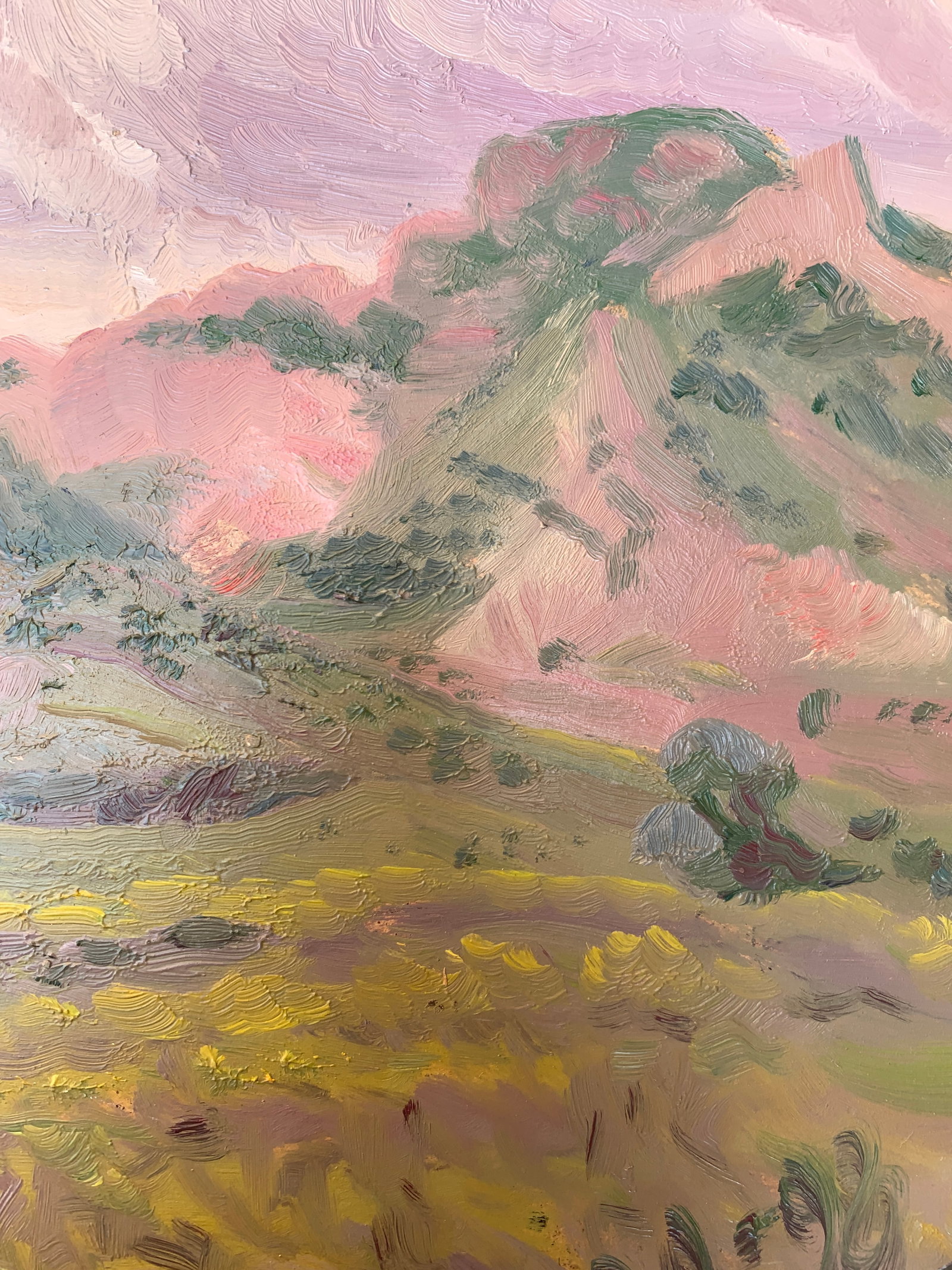 Oil painting Mountain landscape Onyshchenko - 8