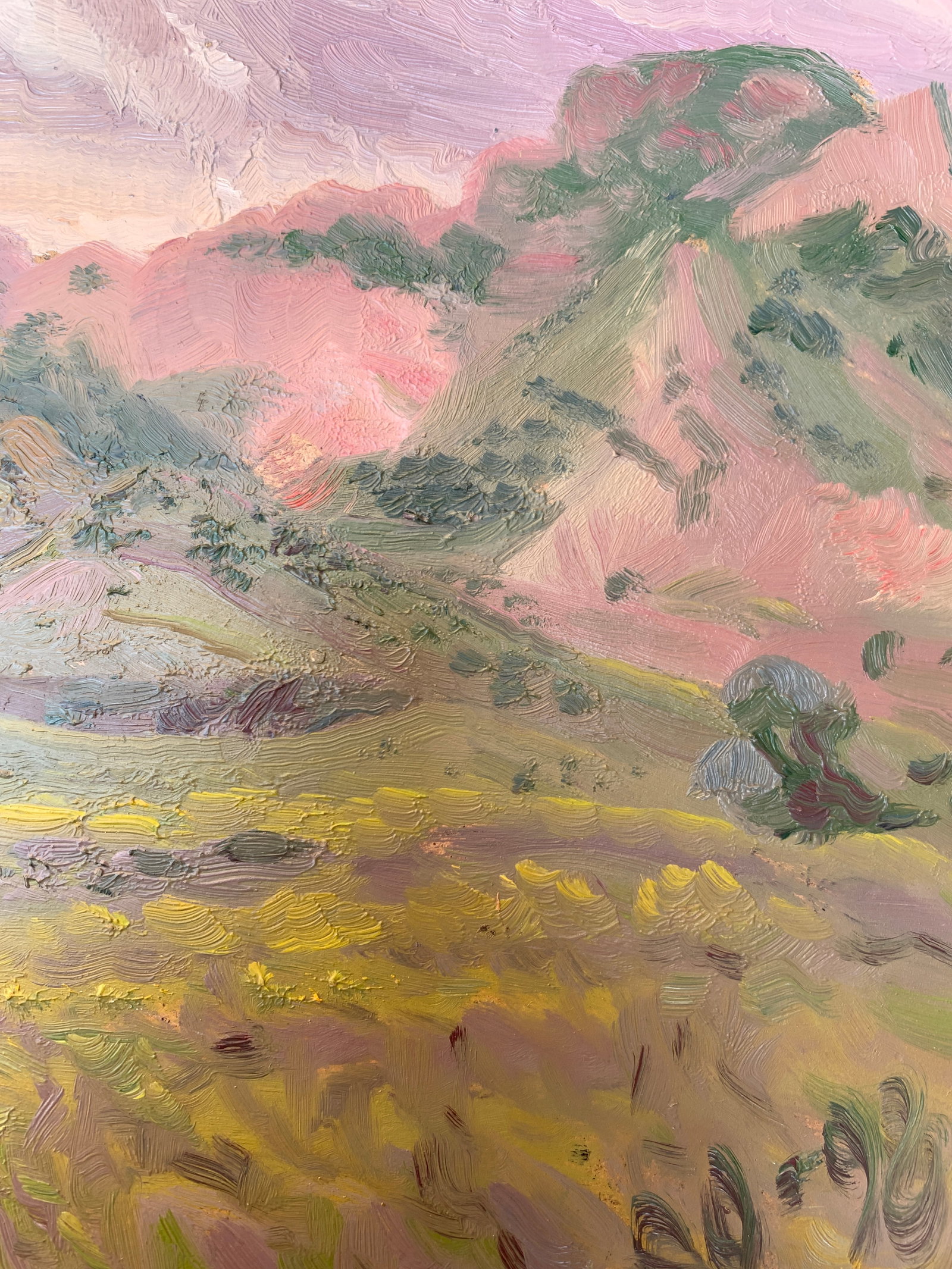 Oil painting Mountain landscape Onyshchenko - 9