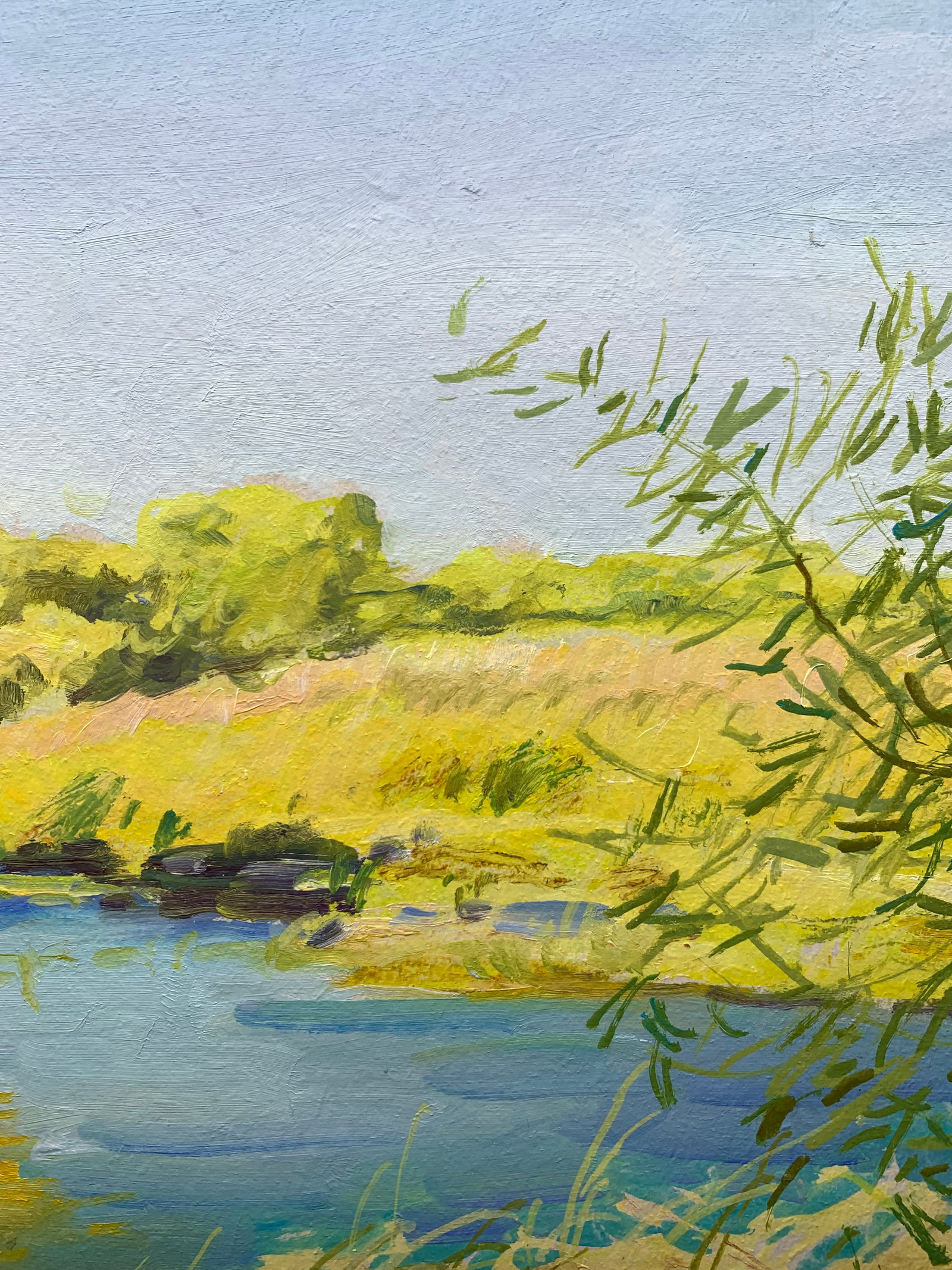 Oil painting Uday River Oleksandr Oleksandrovich Nazarenko - 8