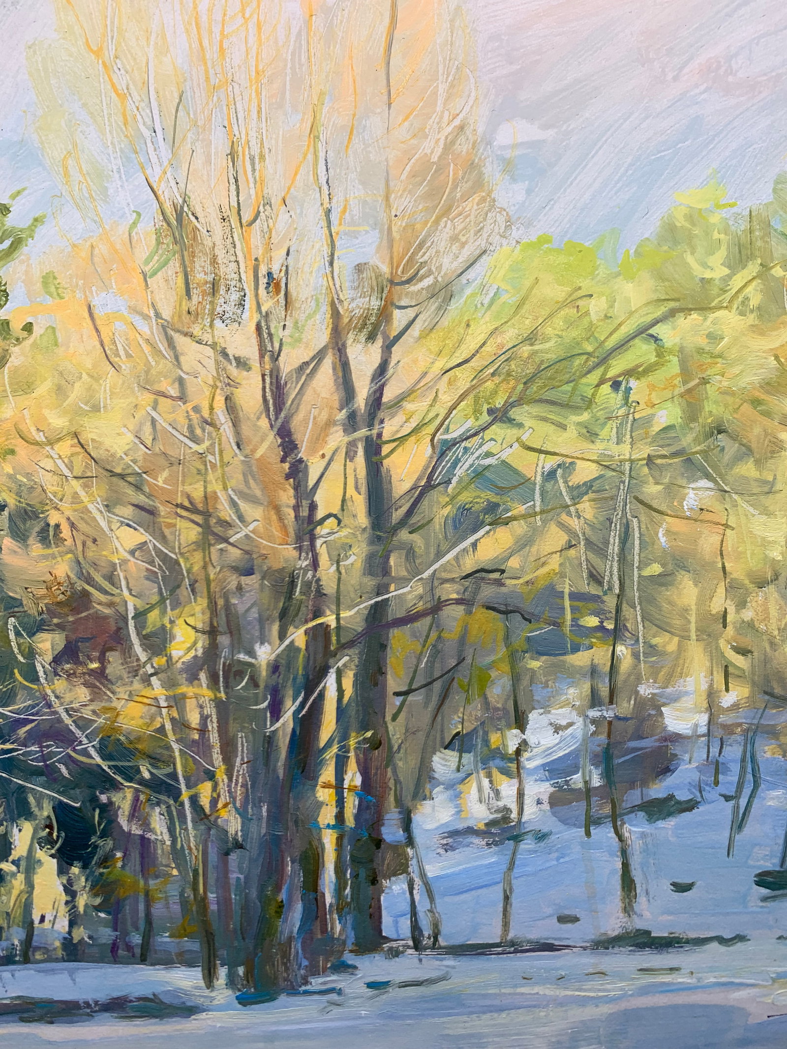 Oil painting Freezing day Oleksandr Oleksandrovich Nazarenko - 8