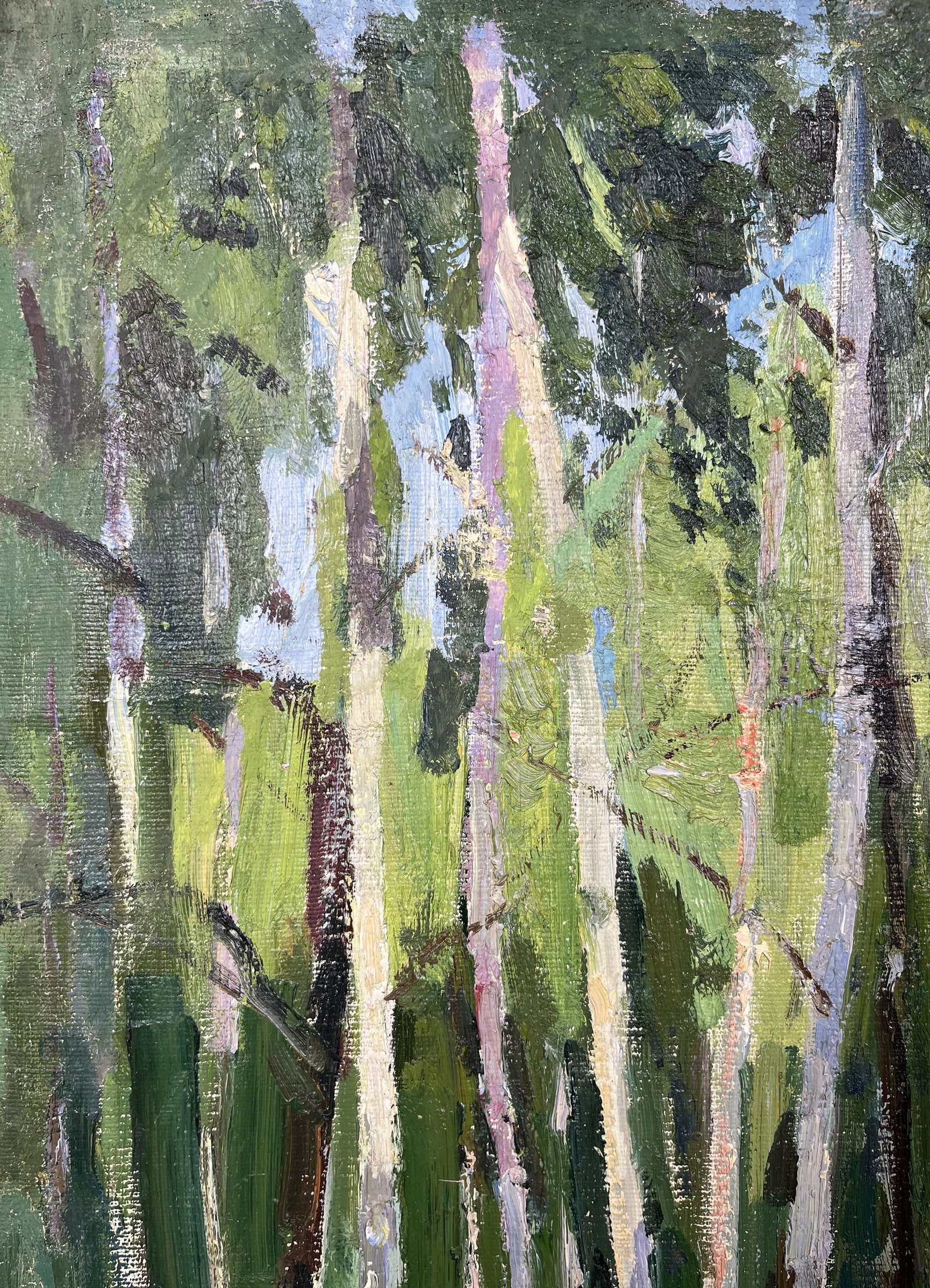 Oil painting Young birch trees Kogan-Shatz - 3