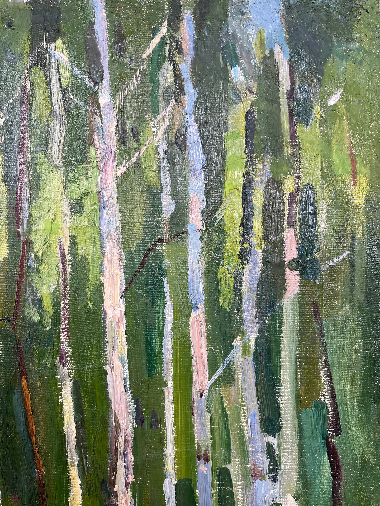 Oil painting Young birch trees Kogan-Shatz - 4