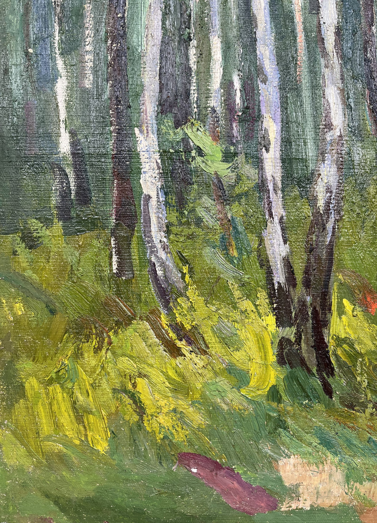 Oil painting Young birch trees Kogan-Shatz - 5