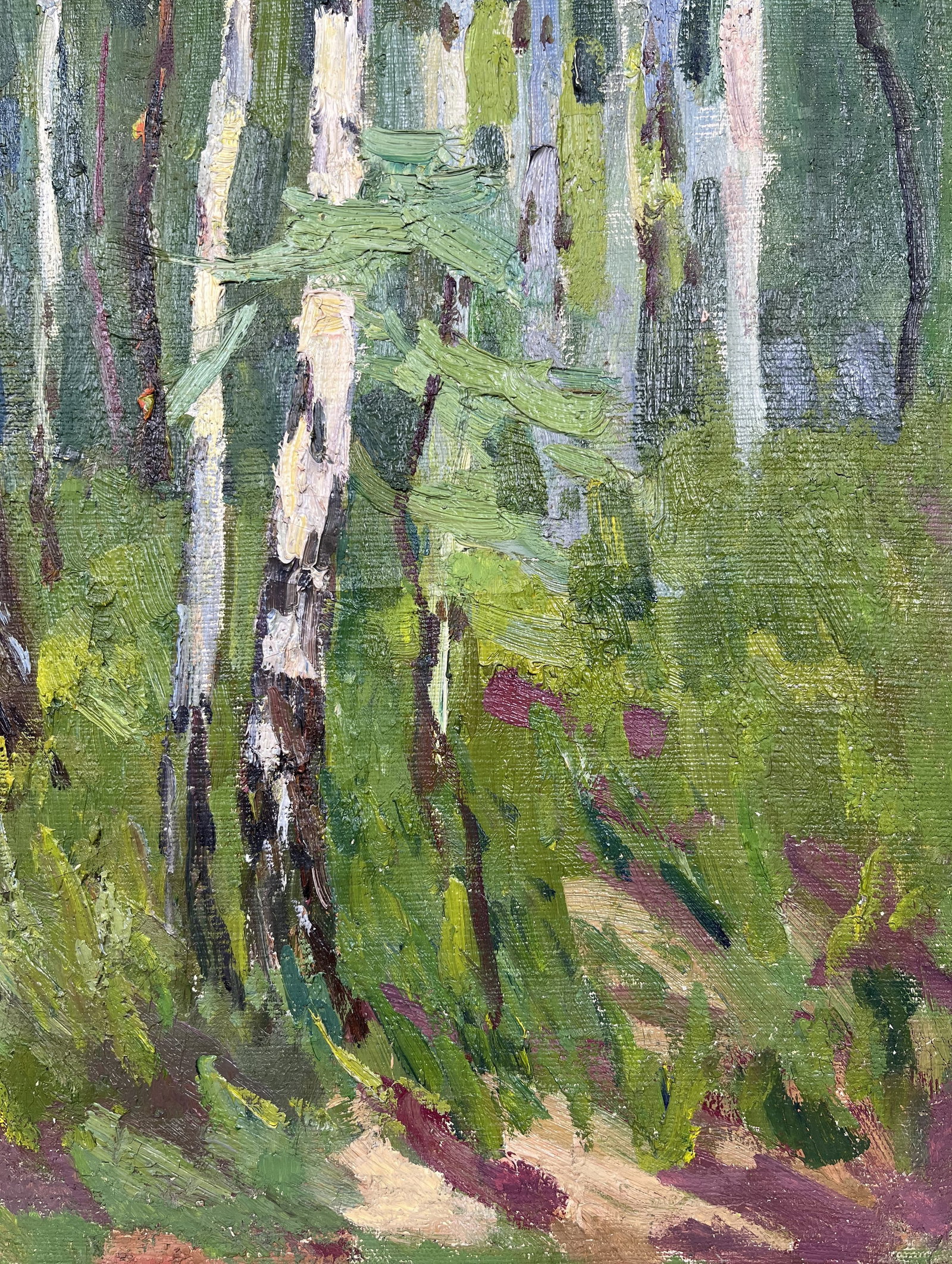 Oil painting Young birch trees Kogan-Shatz - 6