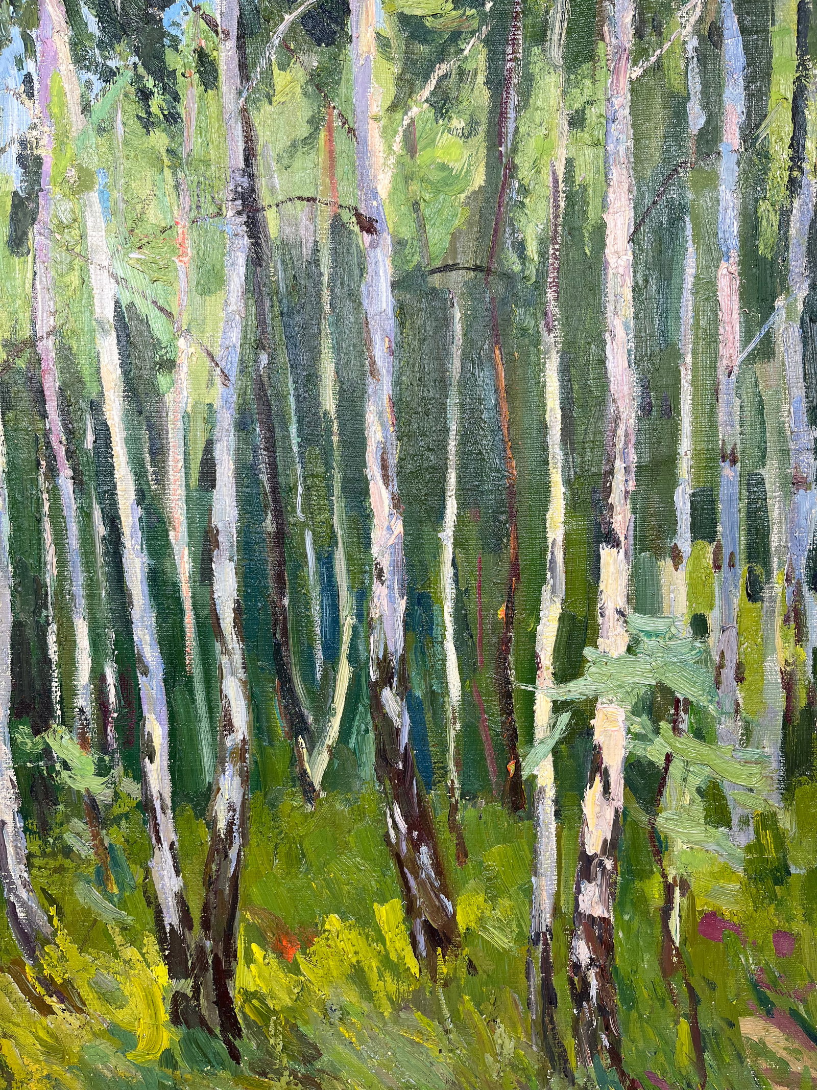 Oil painting Young birch trees Kogan-Shatz - 8