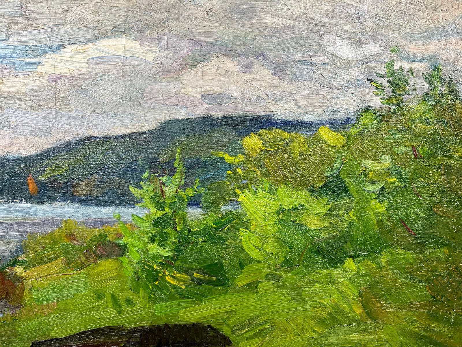 Oil painting Highland Kogan-Shatz - 4