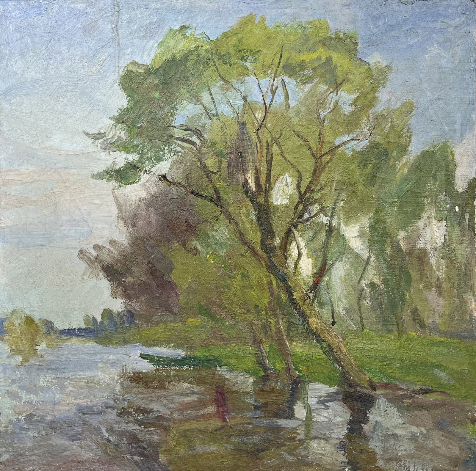 Oil painting Willows over the river Kogan-Shatz - 4