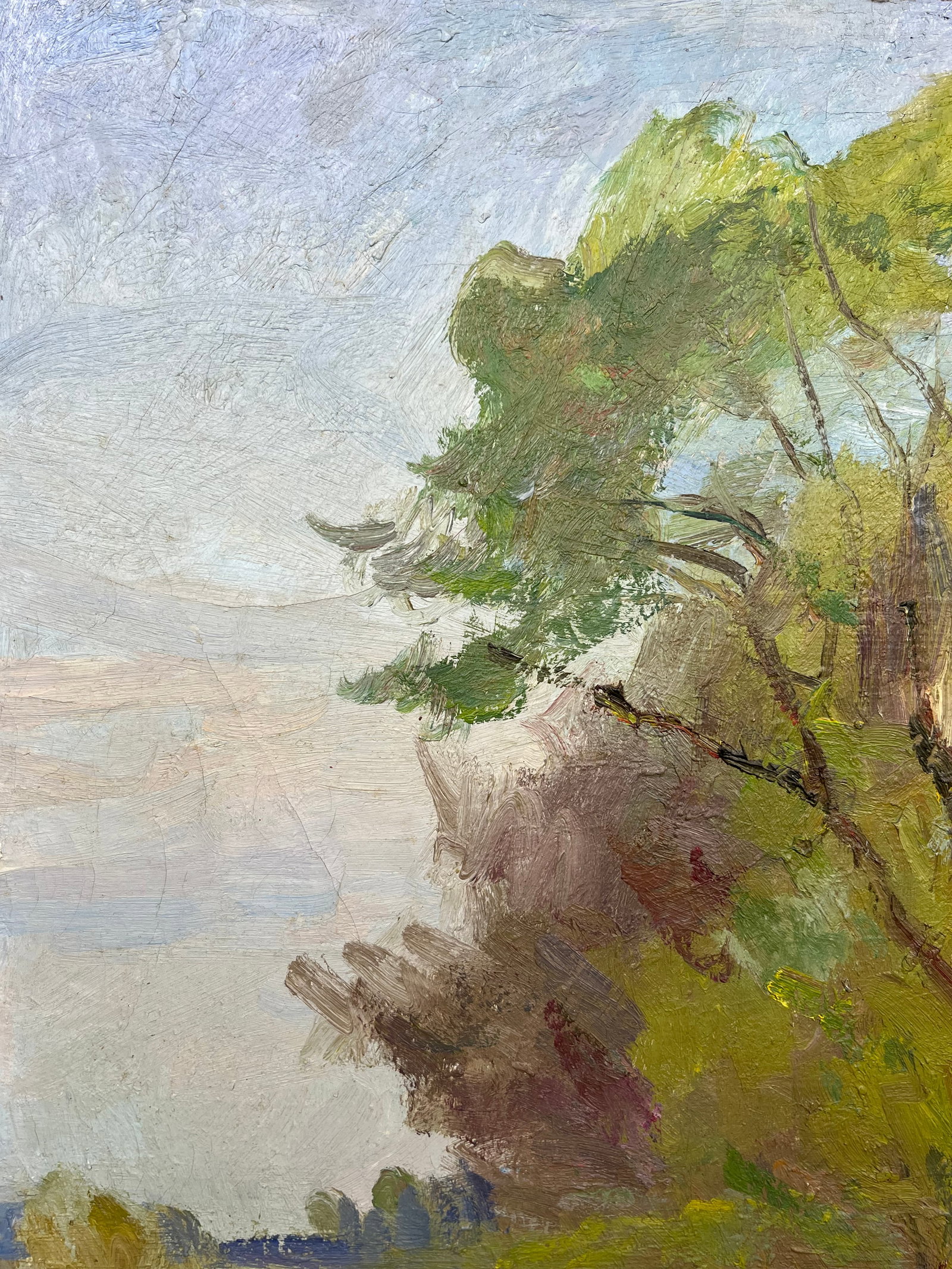 Oil painting Willows over the river Kogan-Shatz - 5