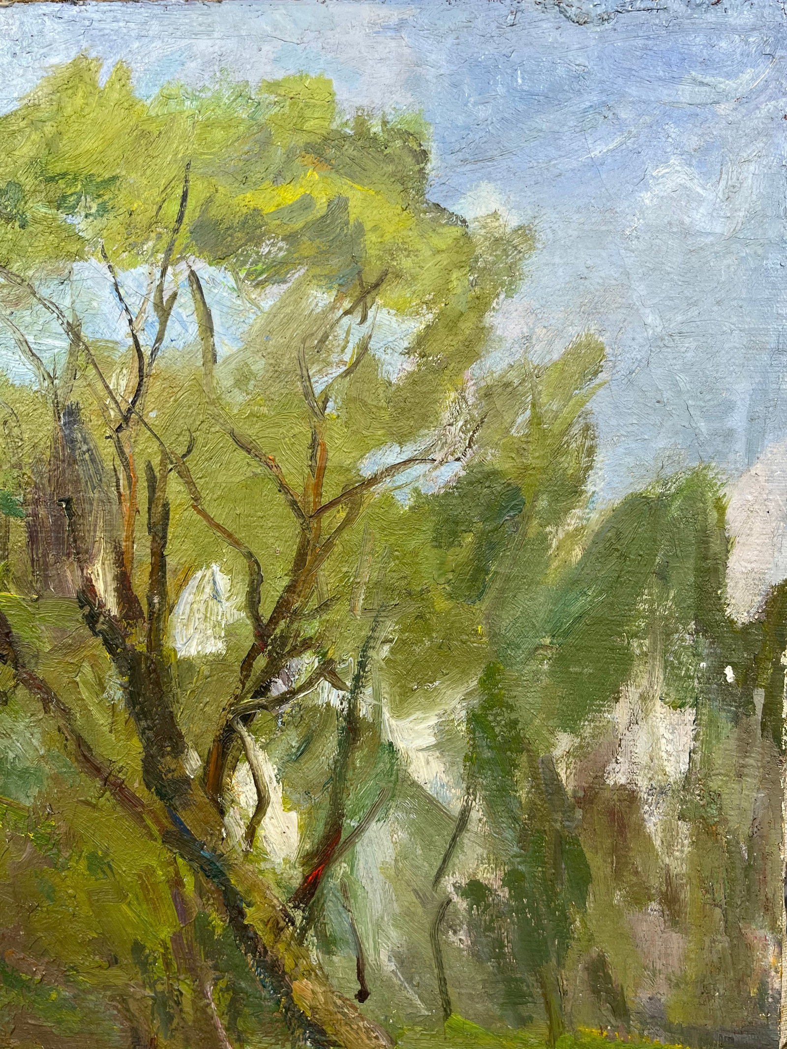 Oil painting Willows over the river Kogan-Shatz - 6