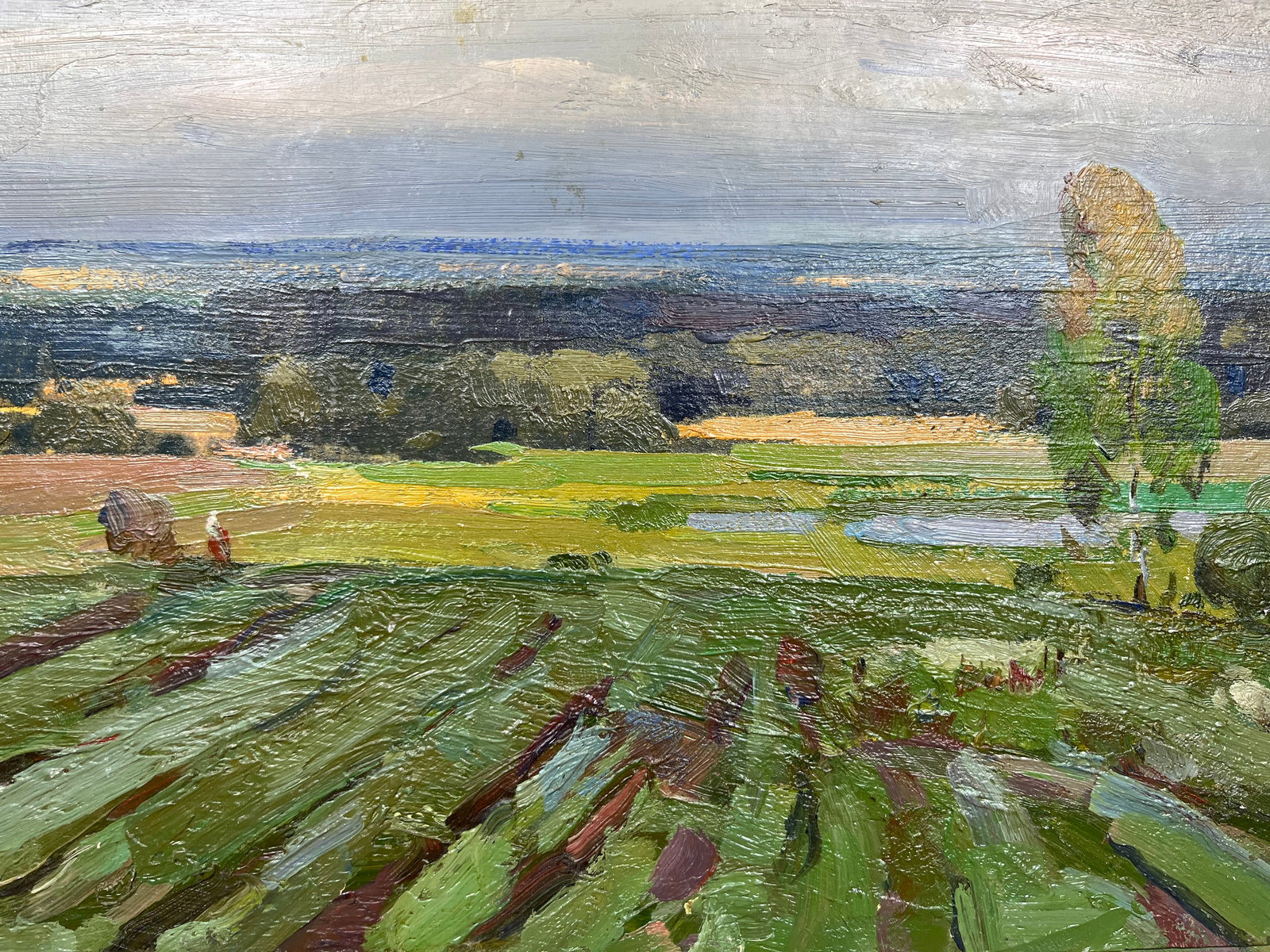 Oil painting Summer in Sednev Strelov A. - 8