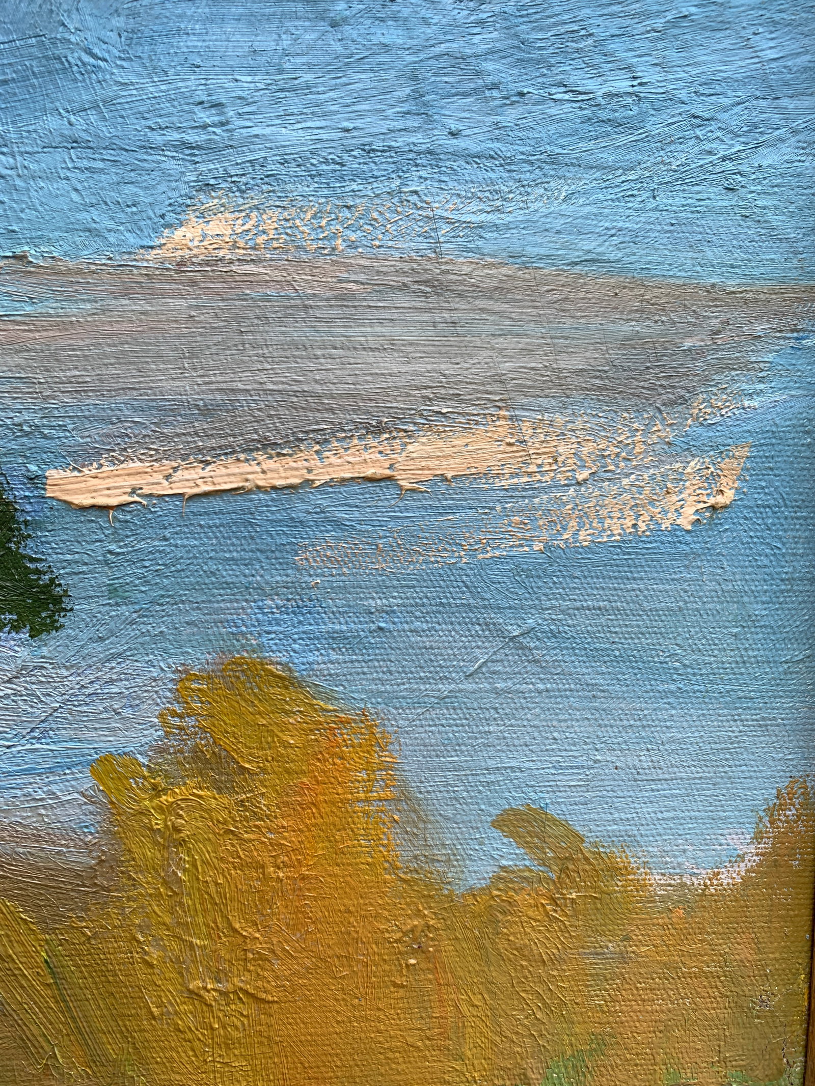 Oil painting strong wind Kogan-Shatz - 7