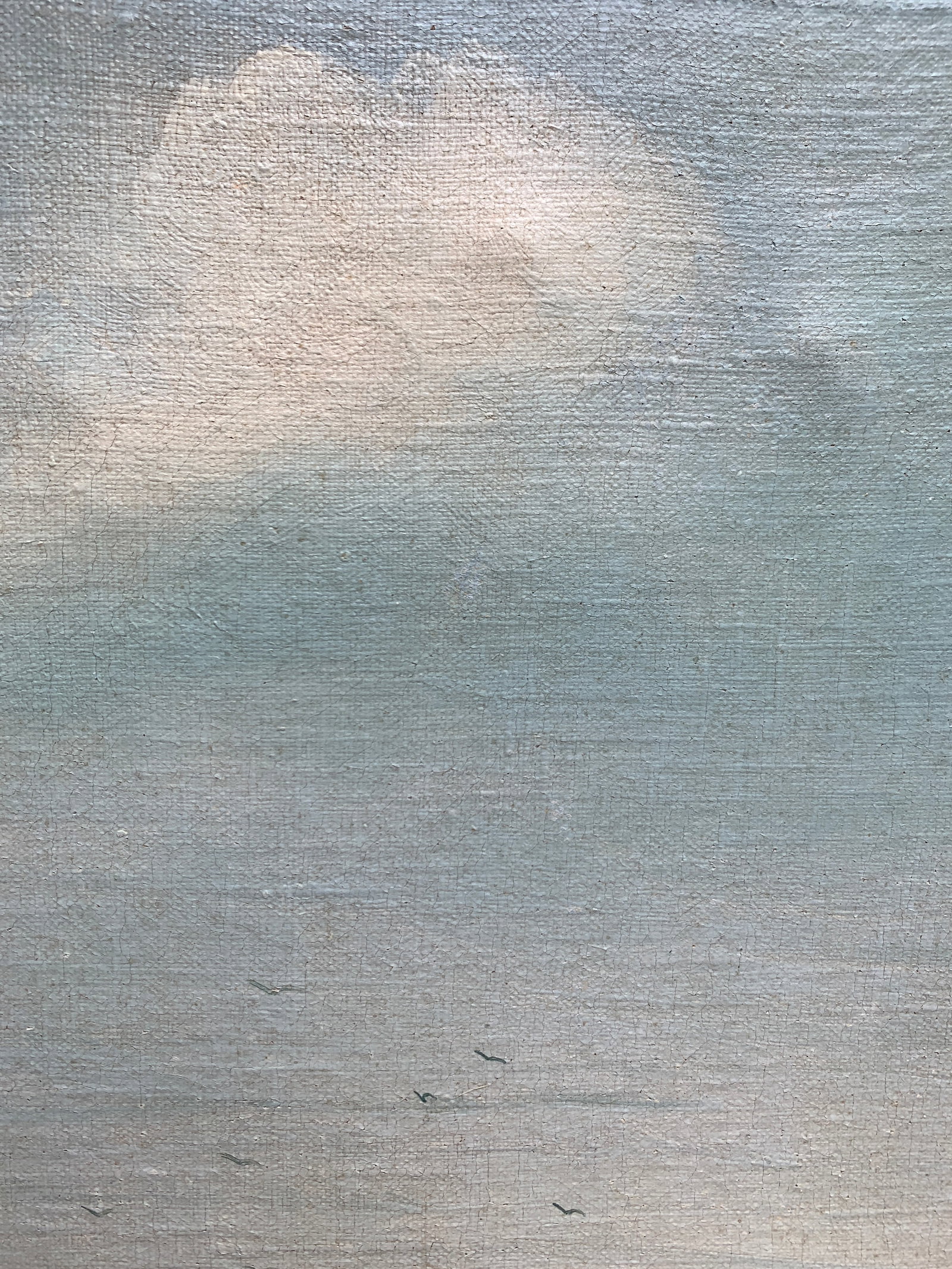 Oil painting Morning fishing Prokuda - 10
