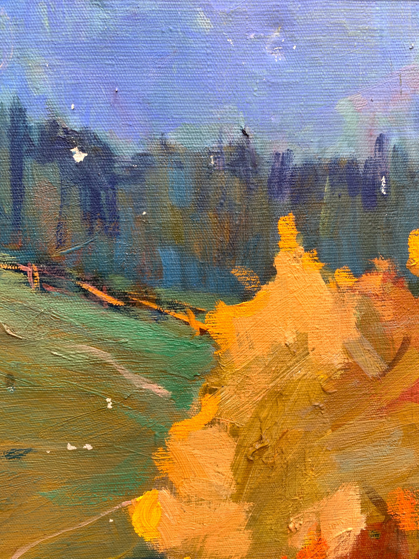 Oil painting Native land Bessaraba - 8