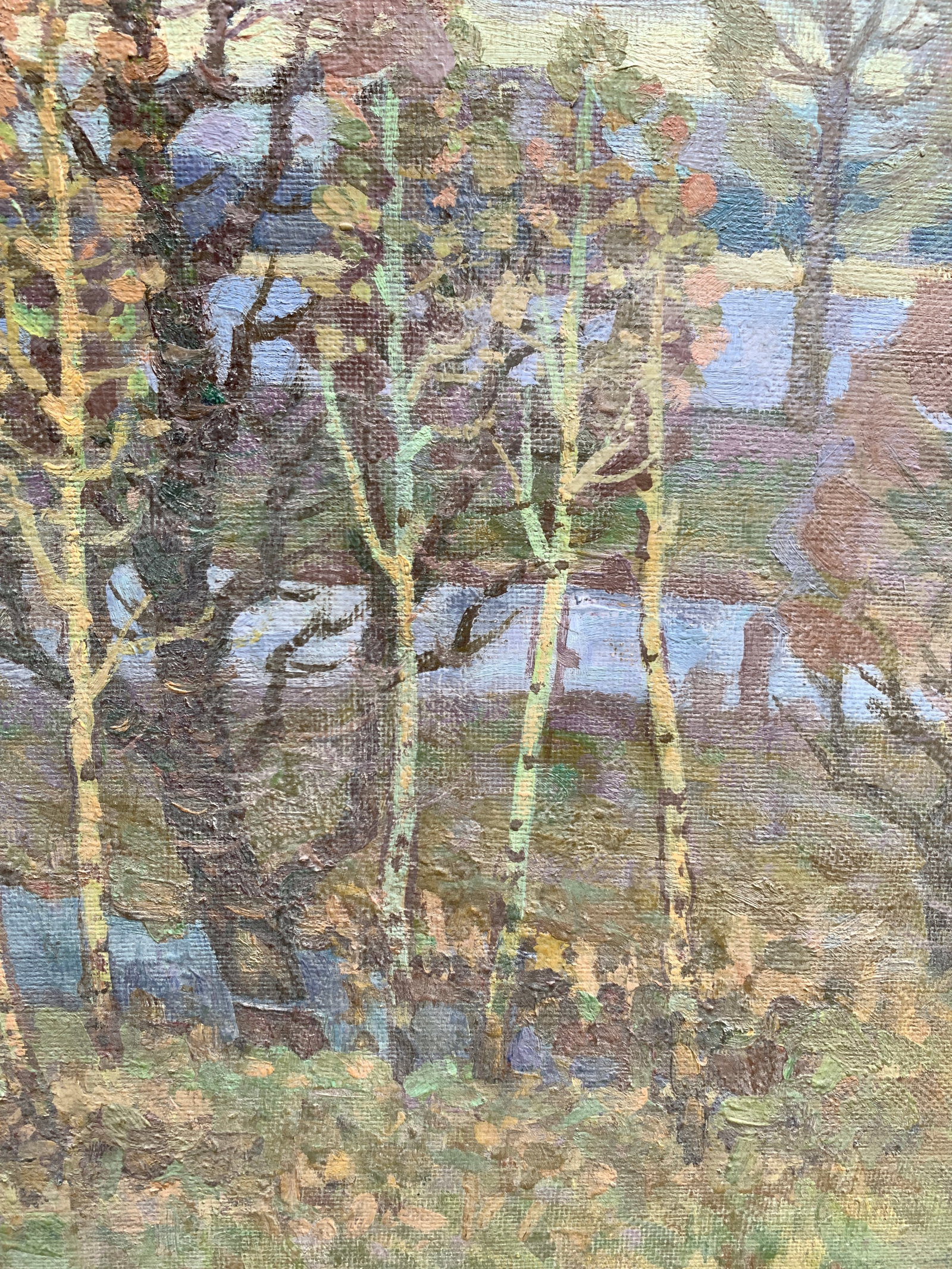 Oil painting Spring waters Ruban G. - 10