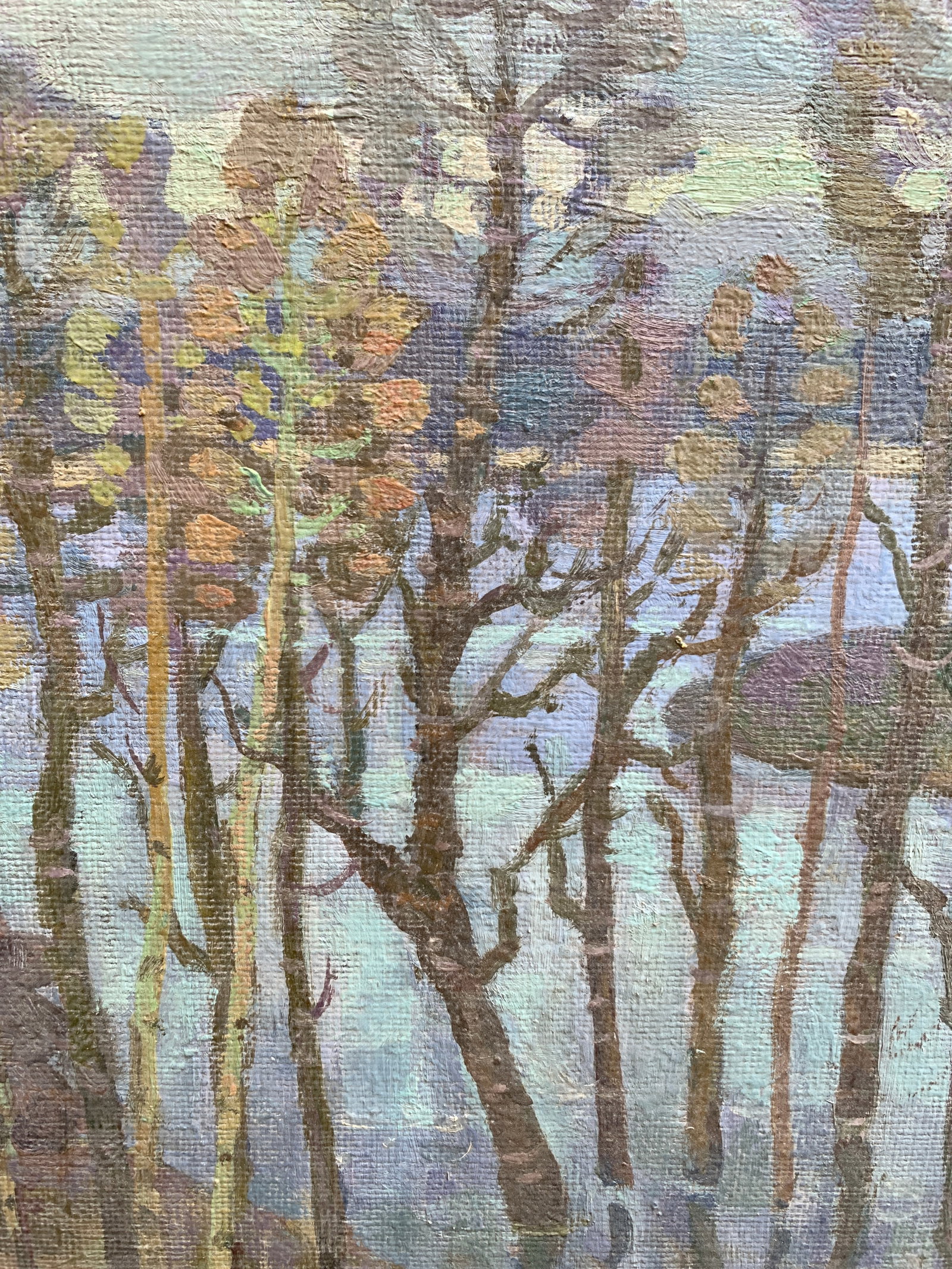 Oil painting Spring waters Ruban G. - 4