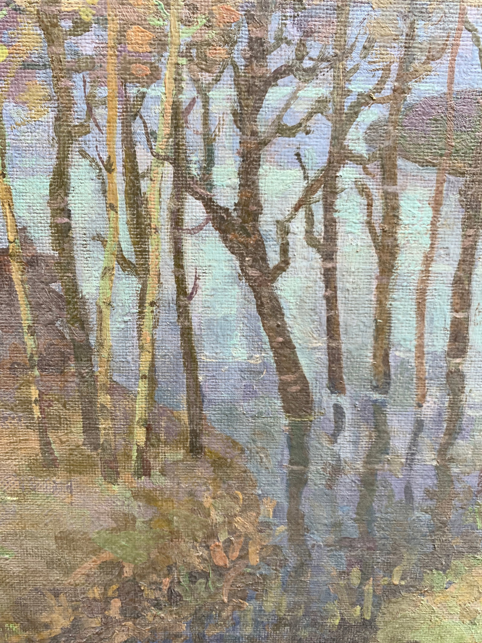Oil painting Spring waters Ruban G. - 5