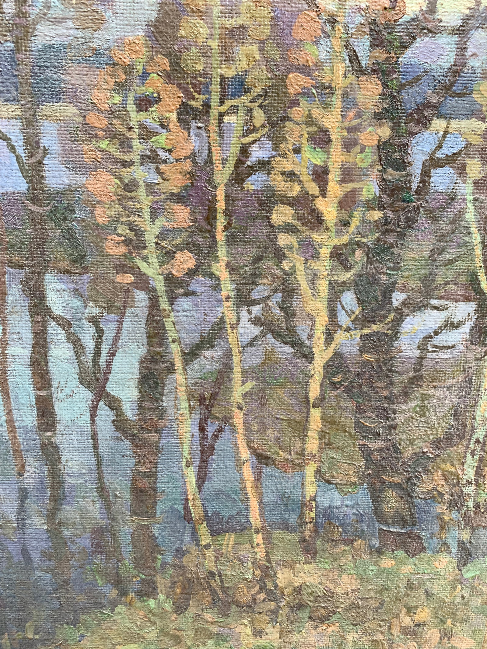 Oil painting Spring waters Ruban G. - 7
