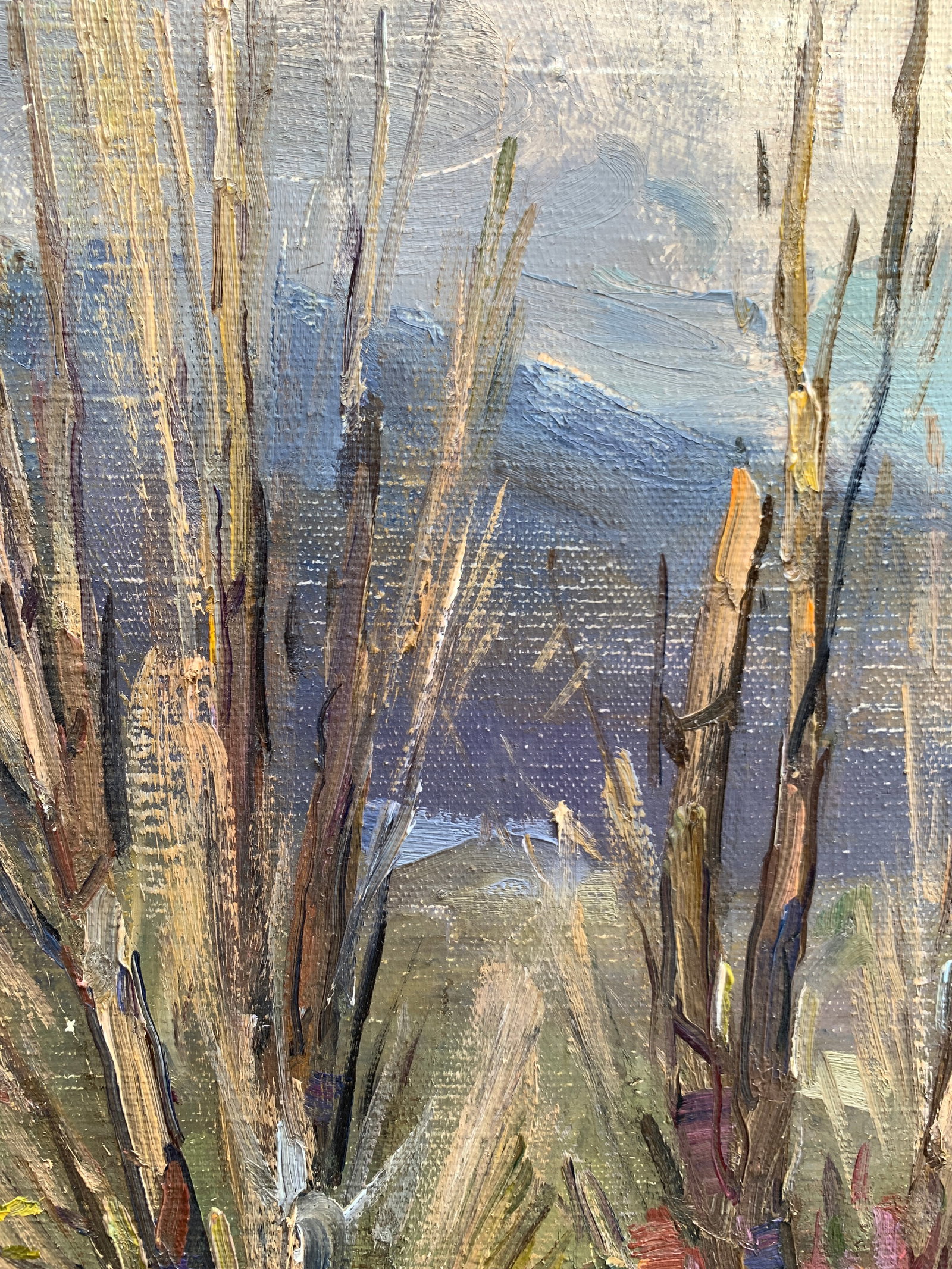 Oil painting Old poplar trees Strelov A. - 7
