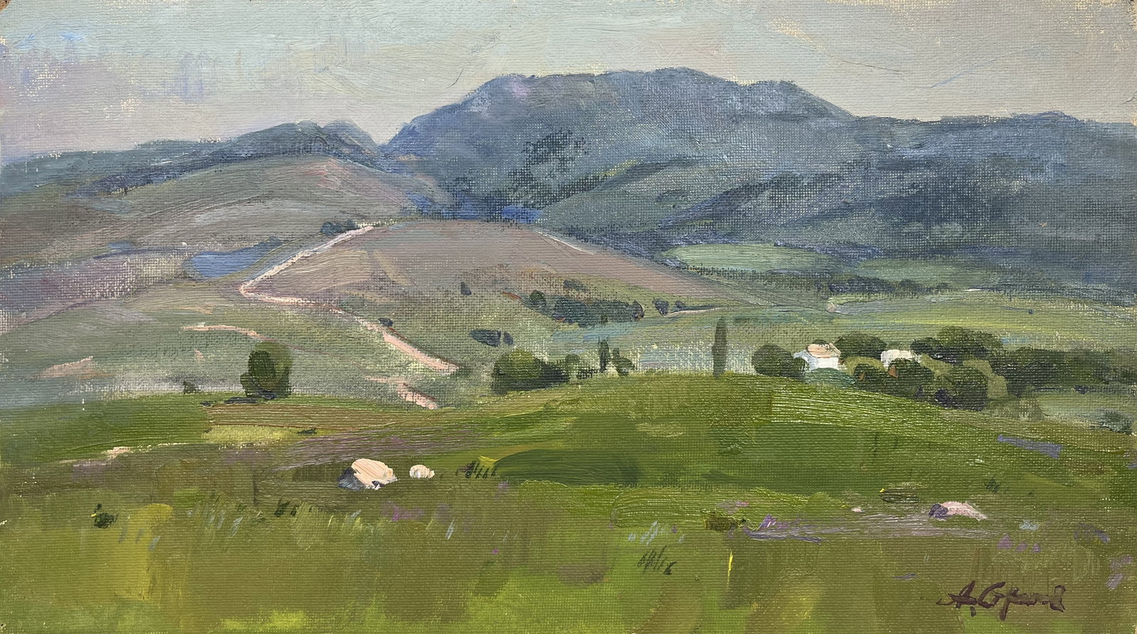Oil painting Foothills of Crimea Strelov A.: Title: Oil painting Foothills of Crimea Strelov A. Description: 75??Duk Painter: Strelov A. S?ze: 34x60 cm/13,35x23,62 inches Components: Oil, fiberboard Original painting from our collection ERA: 198