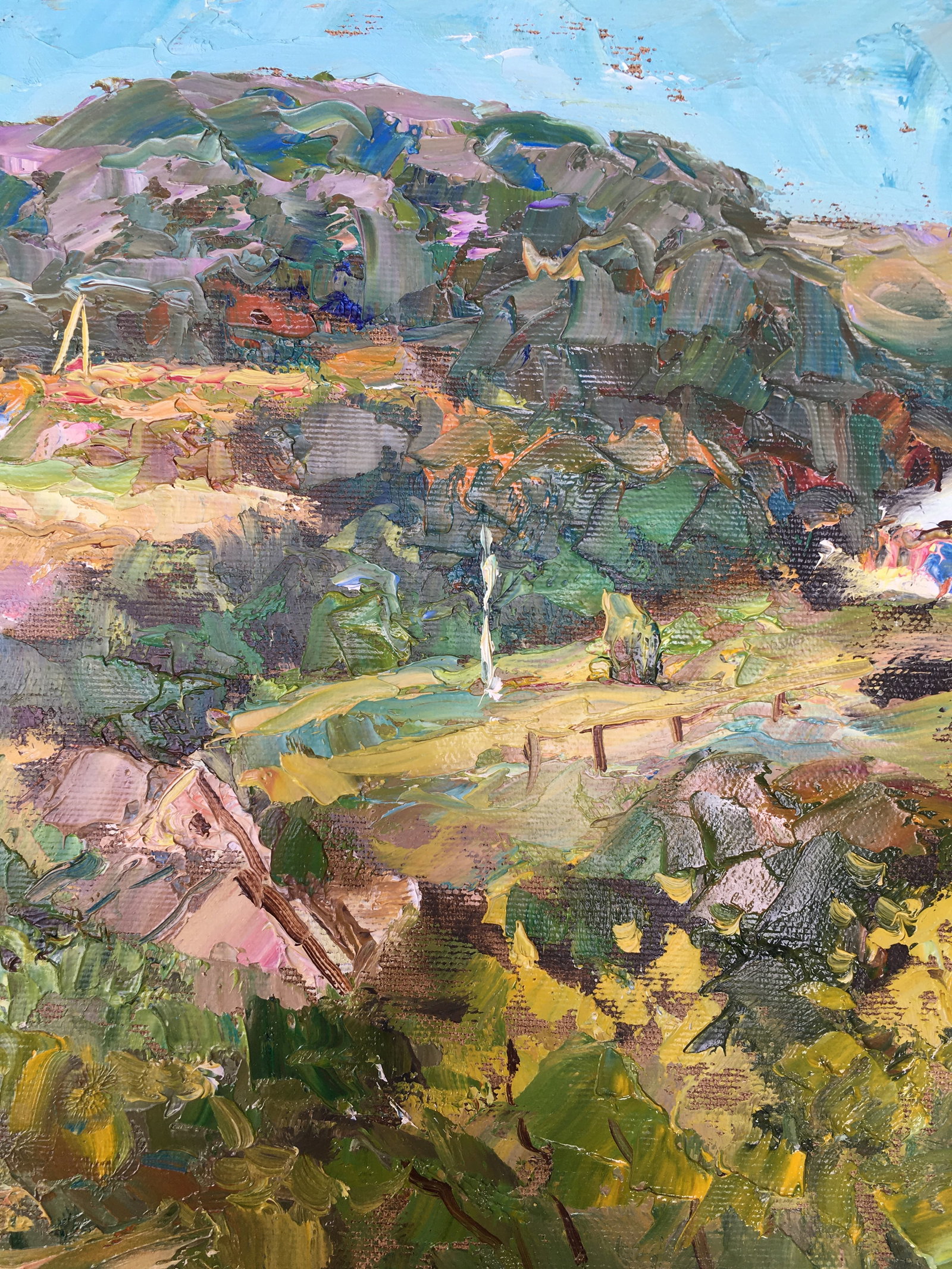 Oil painting Rural landscape Sergey Ivanovich Animov - 10