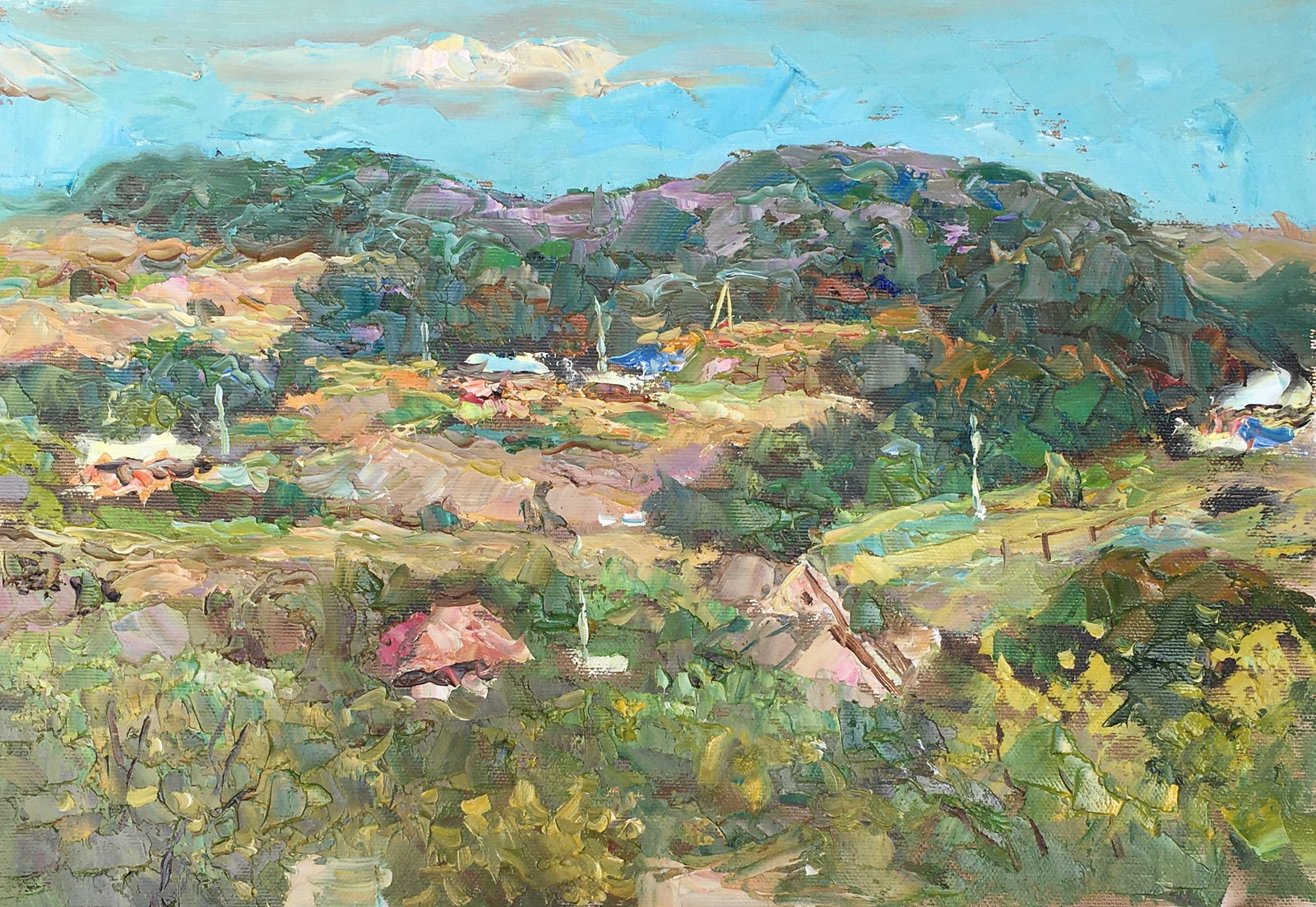 Oil painting Rural landscape Sergey Ivanovich Animov: Title: Oil painting Rural landscape Sergey Ivanovich Animov Description: 233DDD Painter: Sergey Ivanovich Animov S?ze: 26x38,5 cm/10,23x15,15 inches Components: canvas, oil Original painting from our 