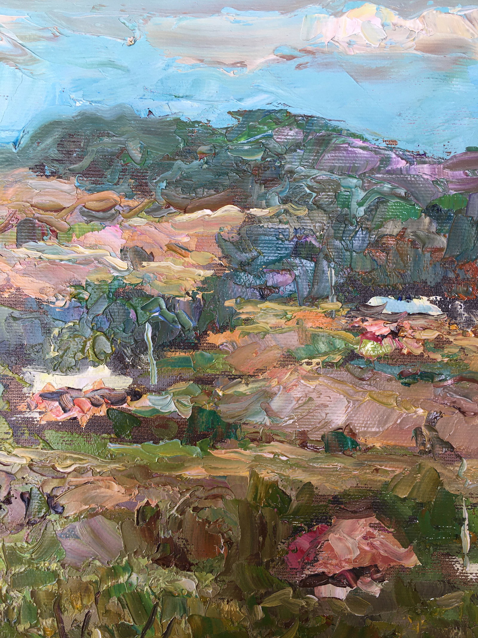 Oil painting Rural landscape Sergey Ivanovich Animov - 3
