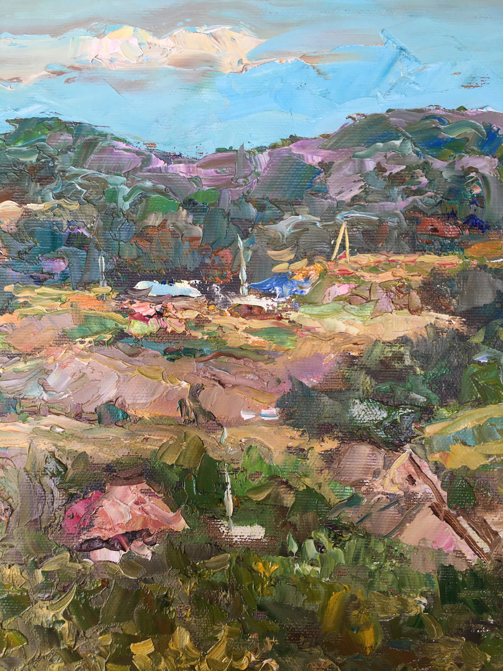 Oil painting Rural landscape Sergey Ivanovich Animov - 5