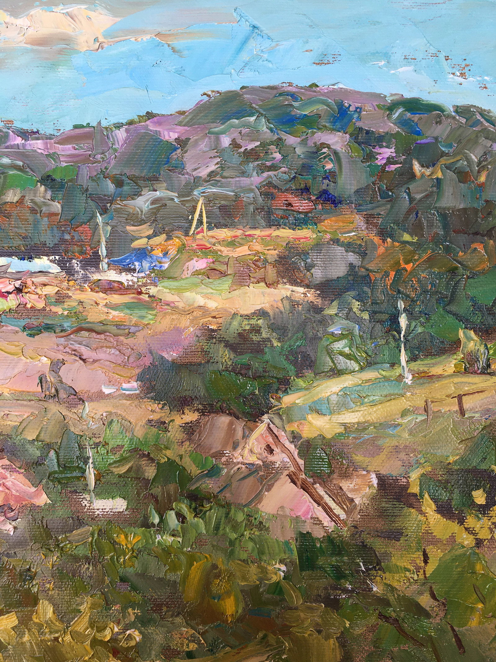 Oil painting Rural landscape Sergey Ivanovich Animov - 7