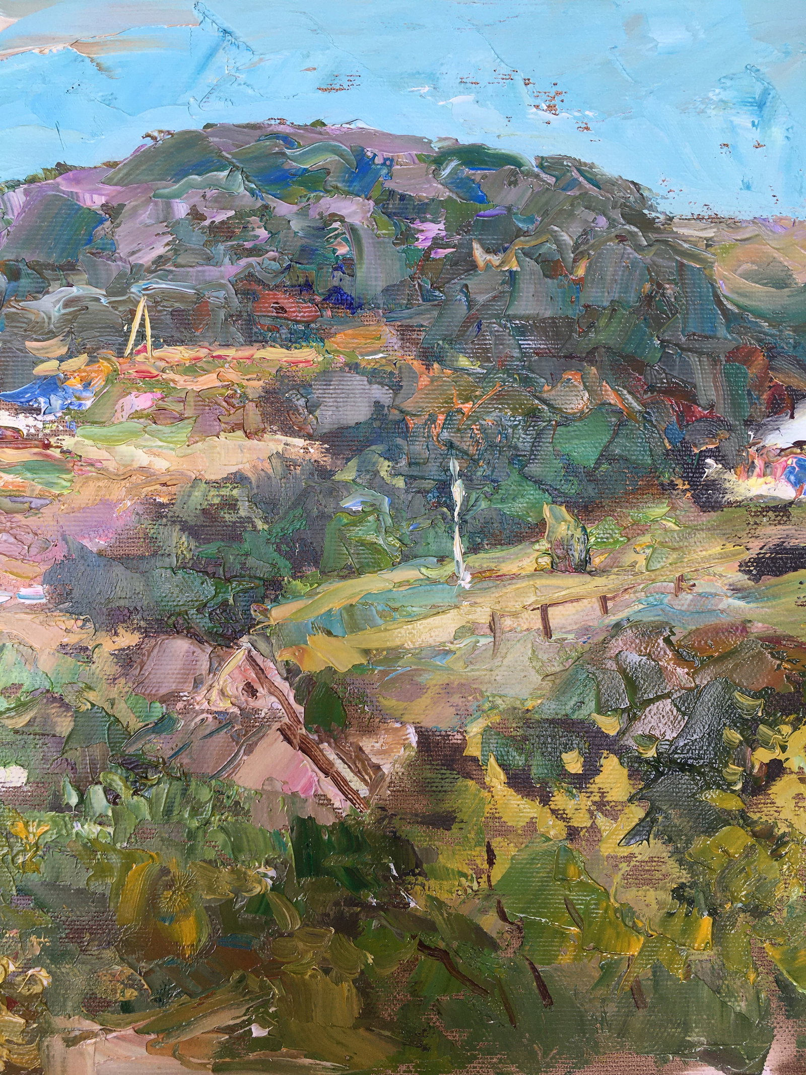 Oil painting Rural landscape Sergey Ivanovich Animov - 8