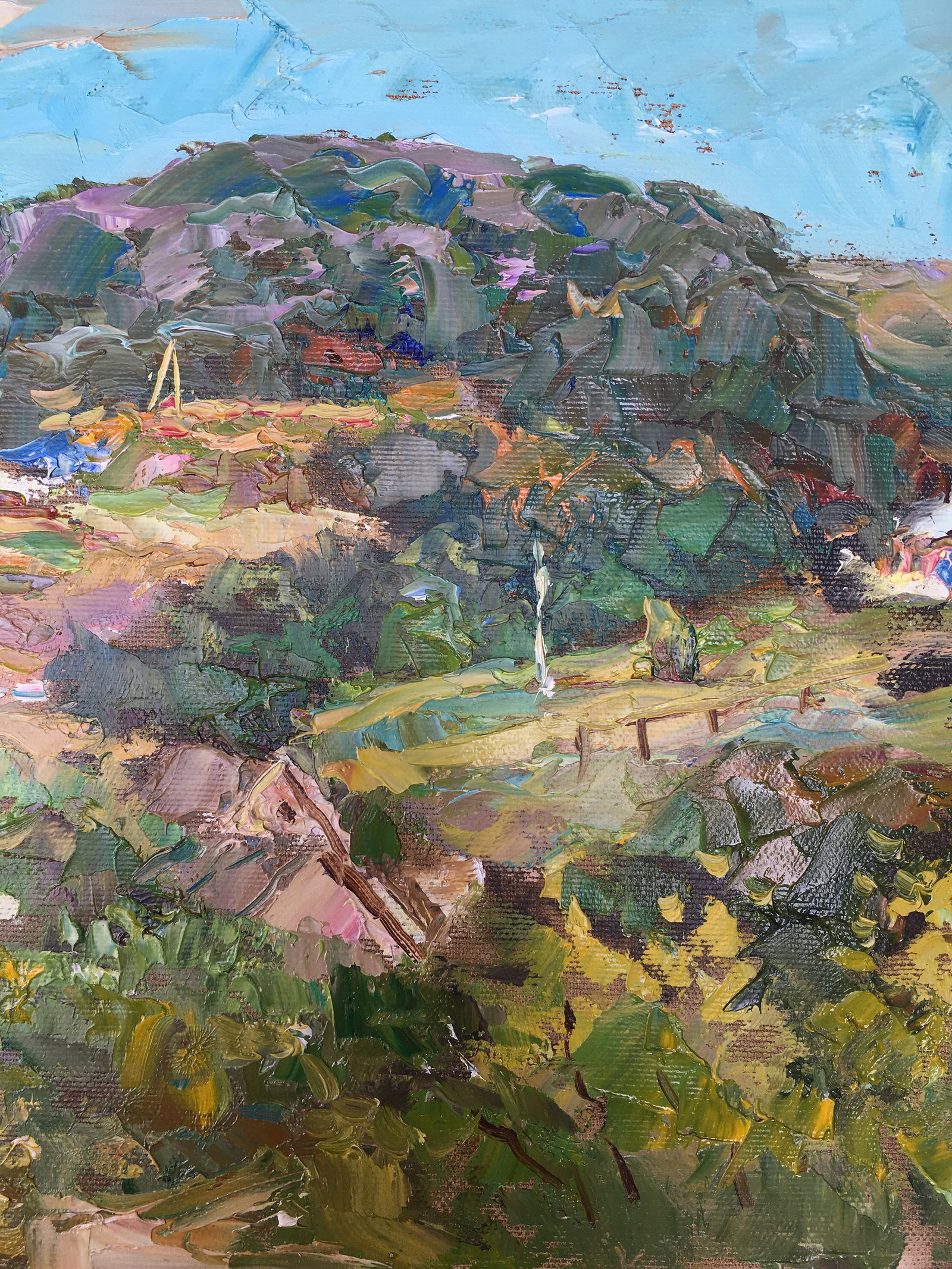 Oil painting Rural landscape Sergey Ivanovich Animov - 9