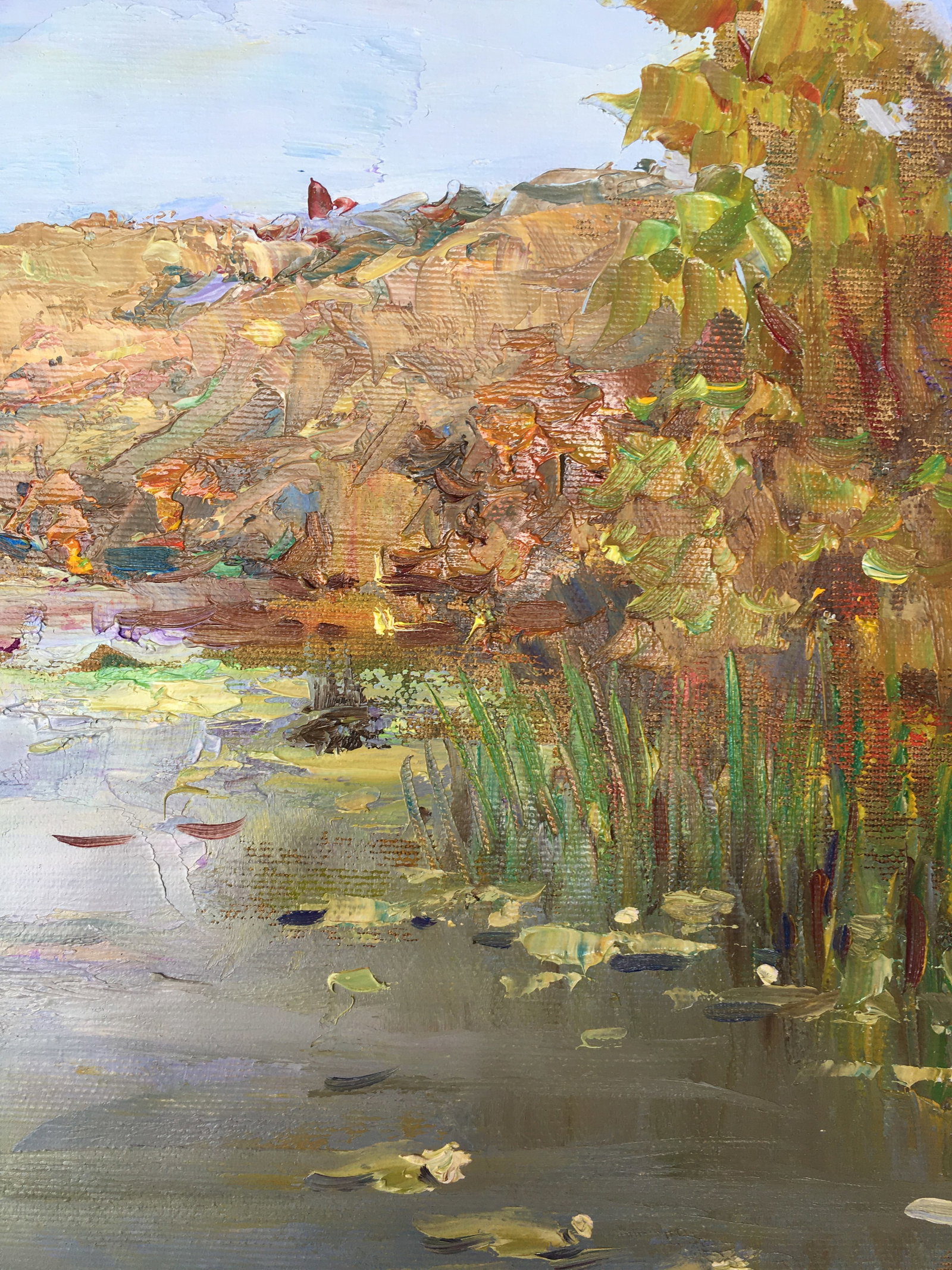 Oil painting On the pond Sergey Ivanovich Animov - 10