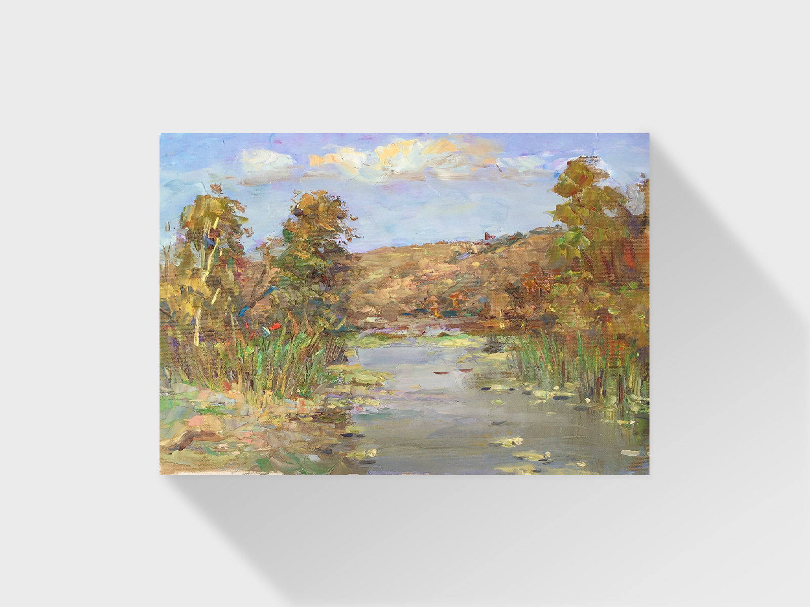 Oil painting On the pond Sergey Ivanovich Animov - 11