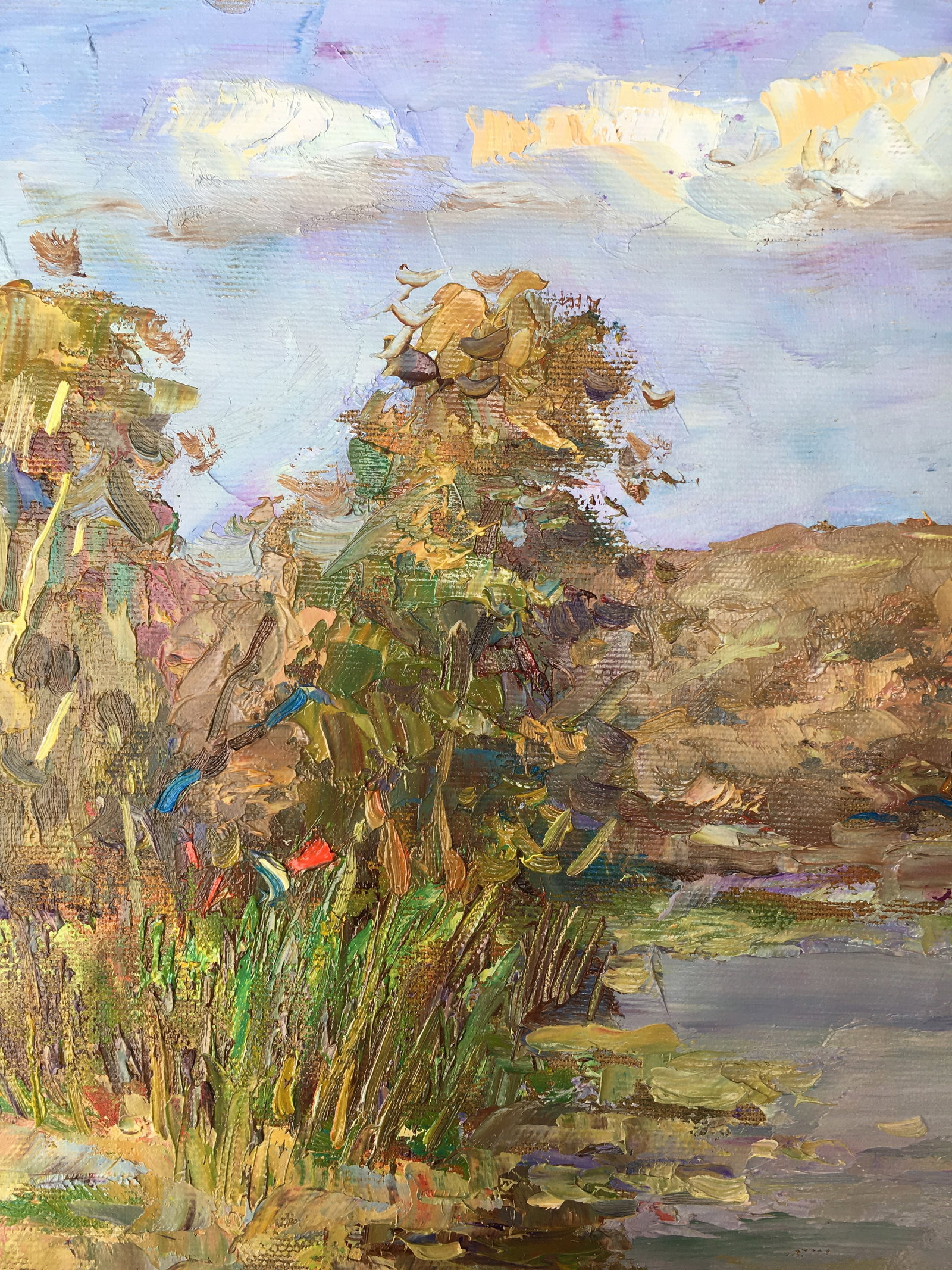 Oil painting On the pond Sergey Ivanovich Animov - 3