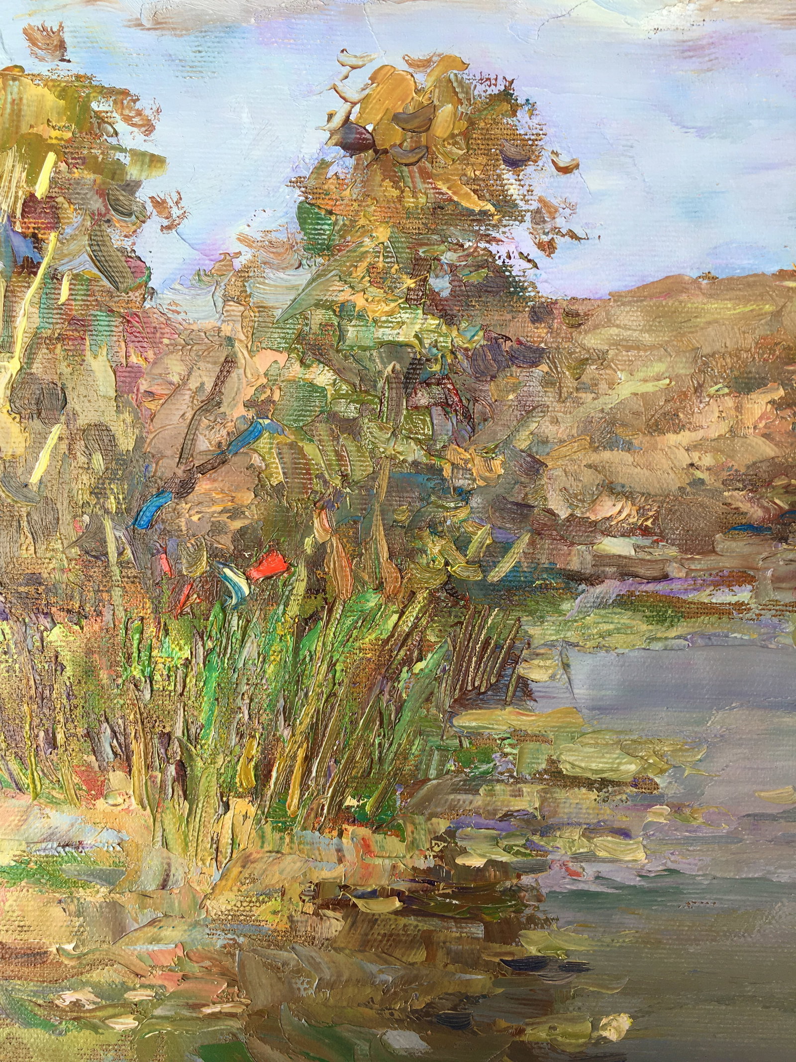 Oil painting On the pond Sergey Ivanovich Animov - 4