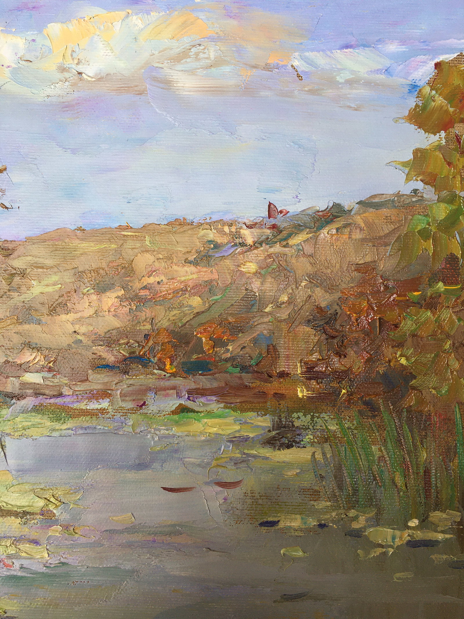 Oil painting On the pond Sergey Ivanovich Animov - 7