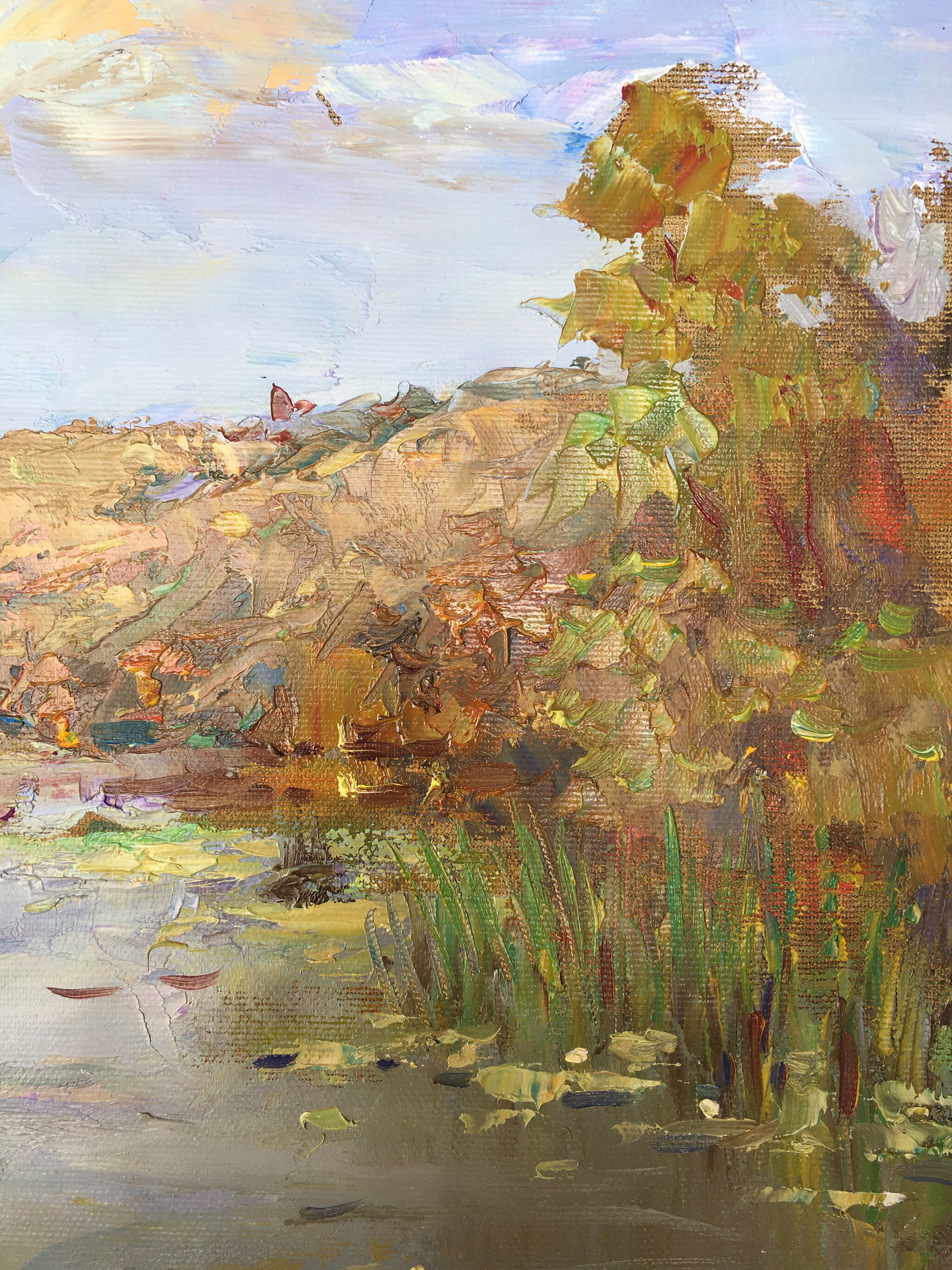 Oil painting On the pond Sergey Ivanovich Animov - 9