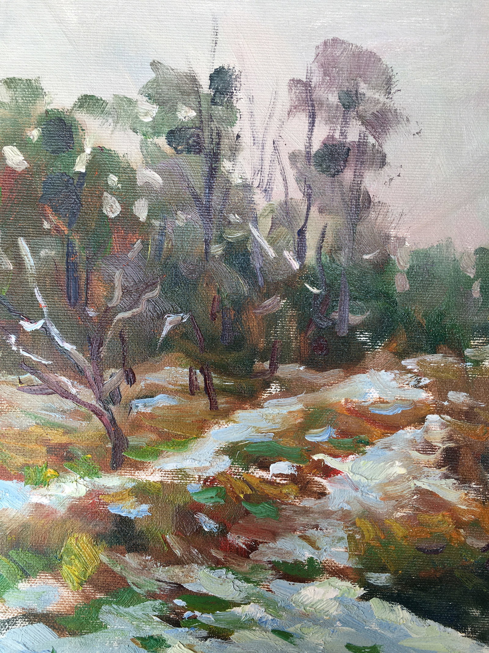 Oil painting First snow Sergey Ivanovich Animov - 3