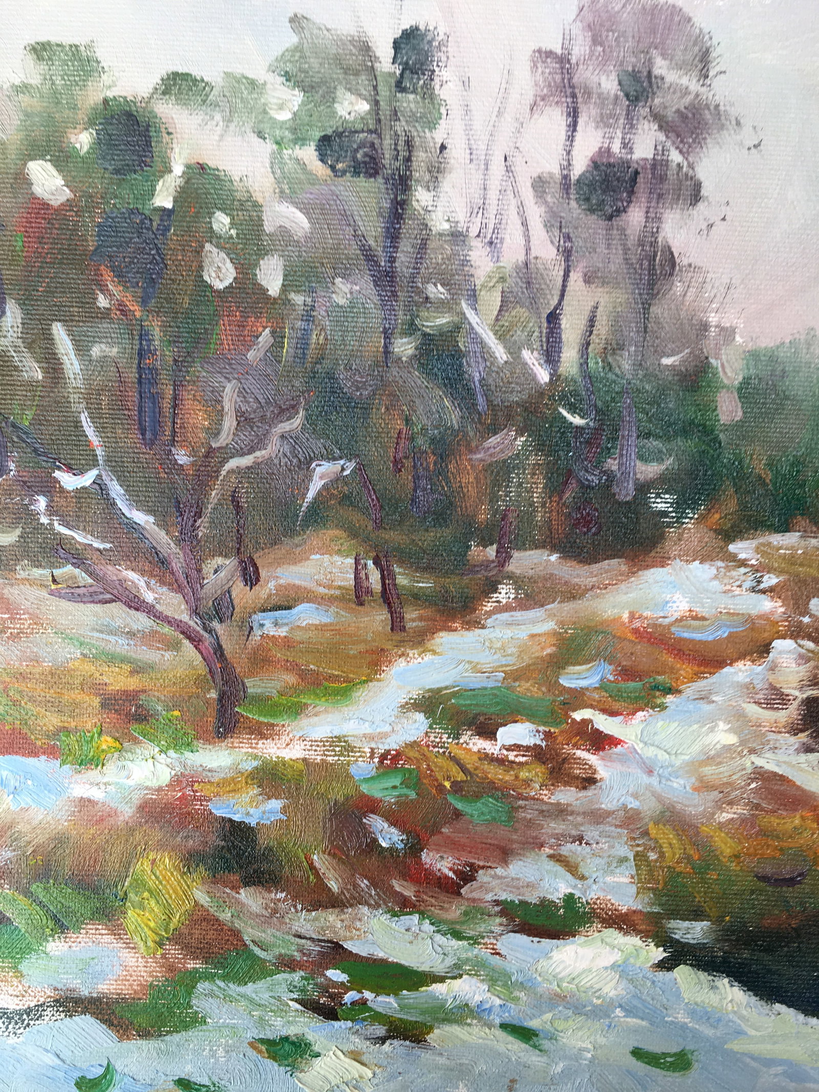 Oil painting First snow Sergey Ivanovich Animov - 4