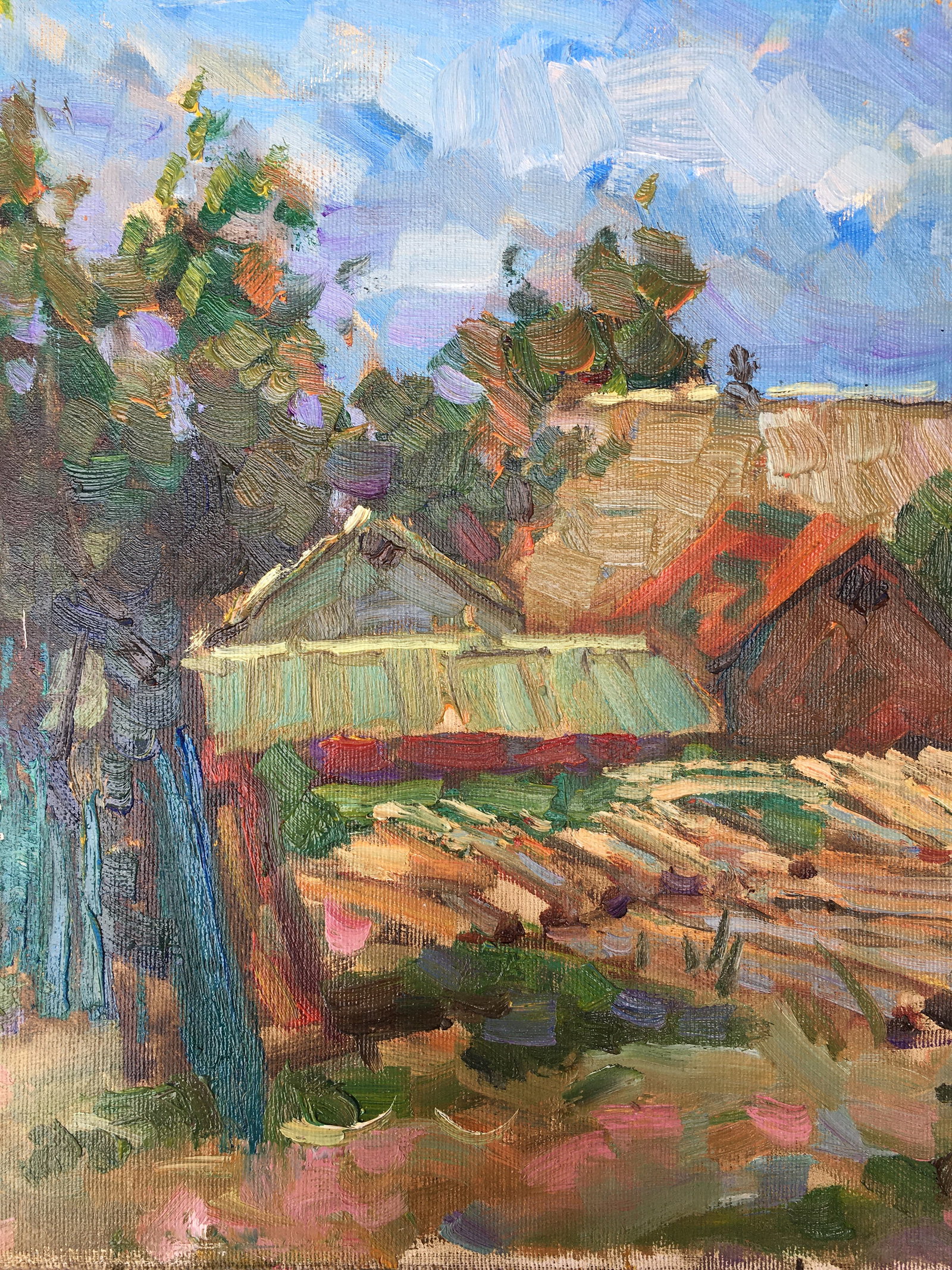 Oil painting Village yard Sergey Ivanovich Animov - 4